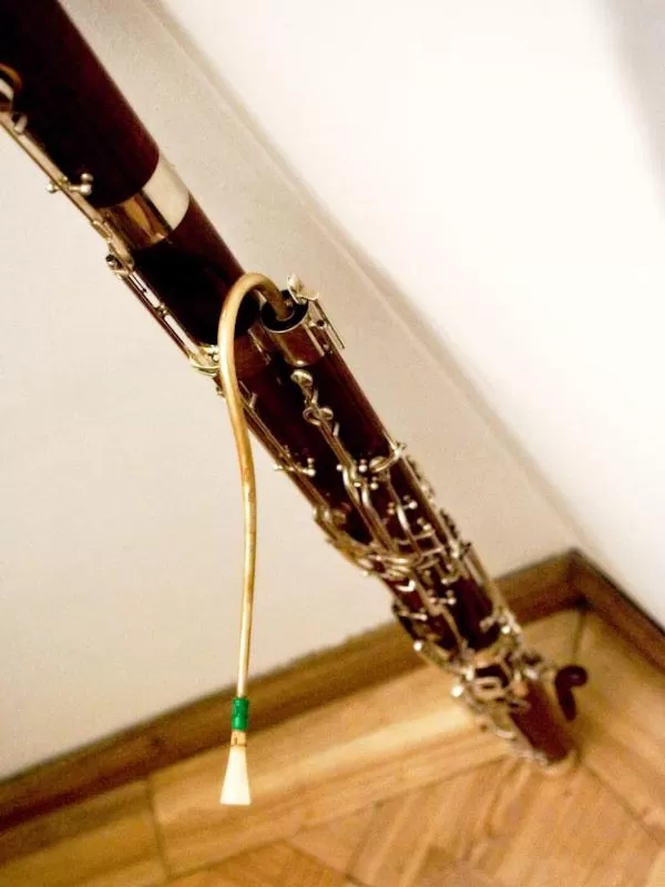 Entertainment in Palac w Rybnej