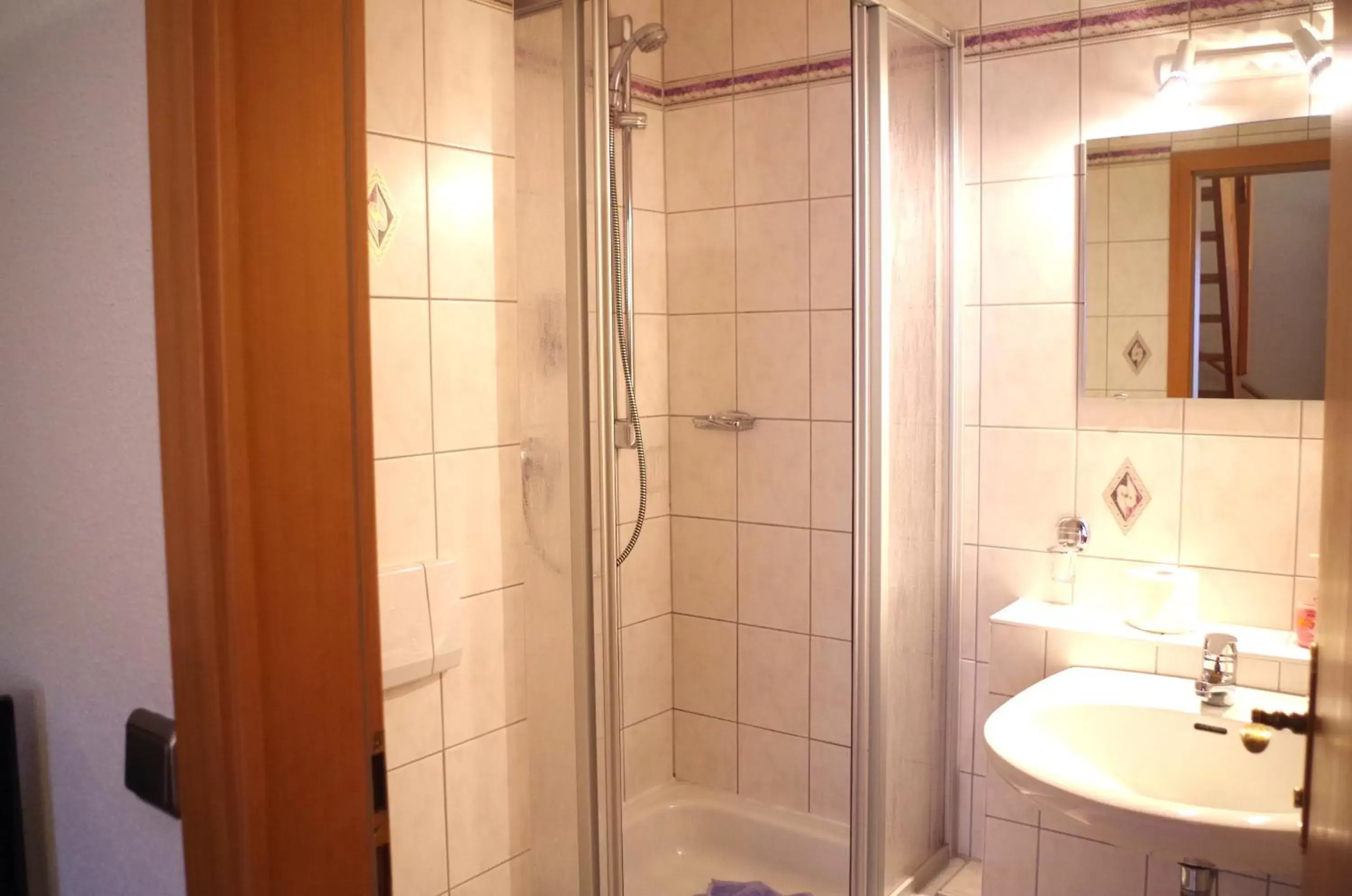 Shower, Bathroom in Hotel Alttolkewitzer Hof