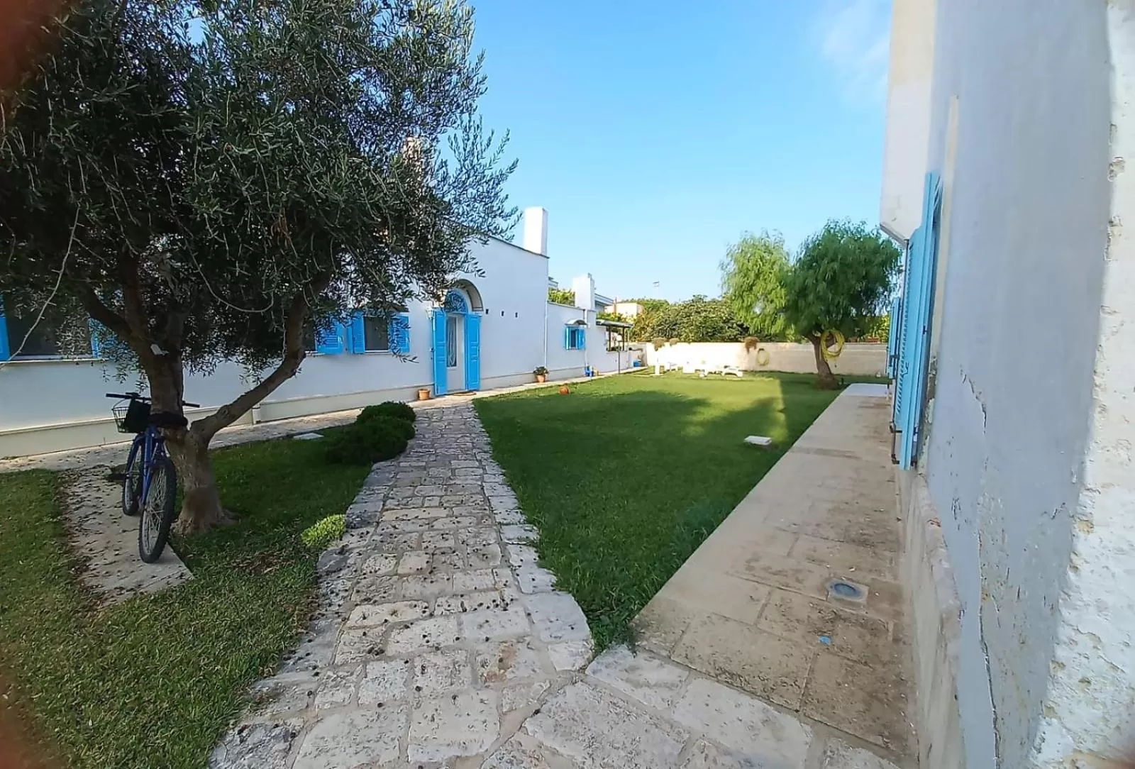 Garden in Tronchetto bianco