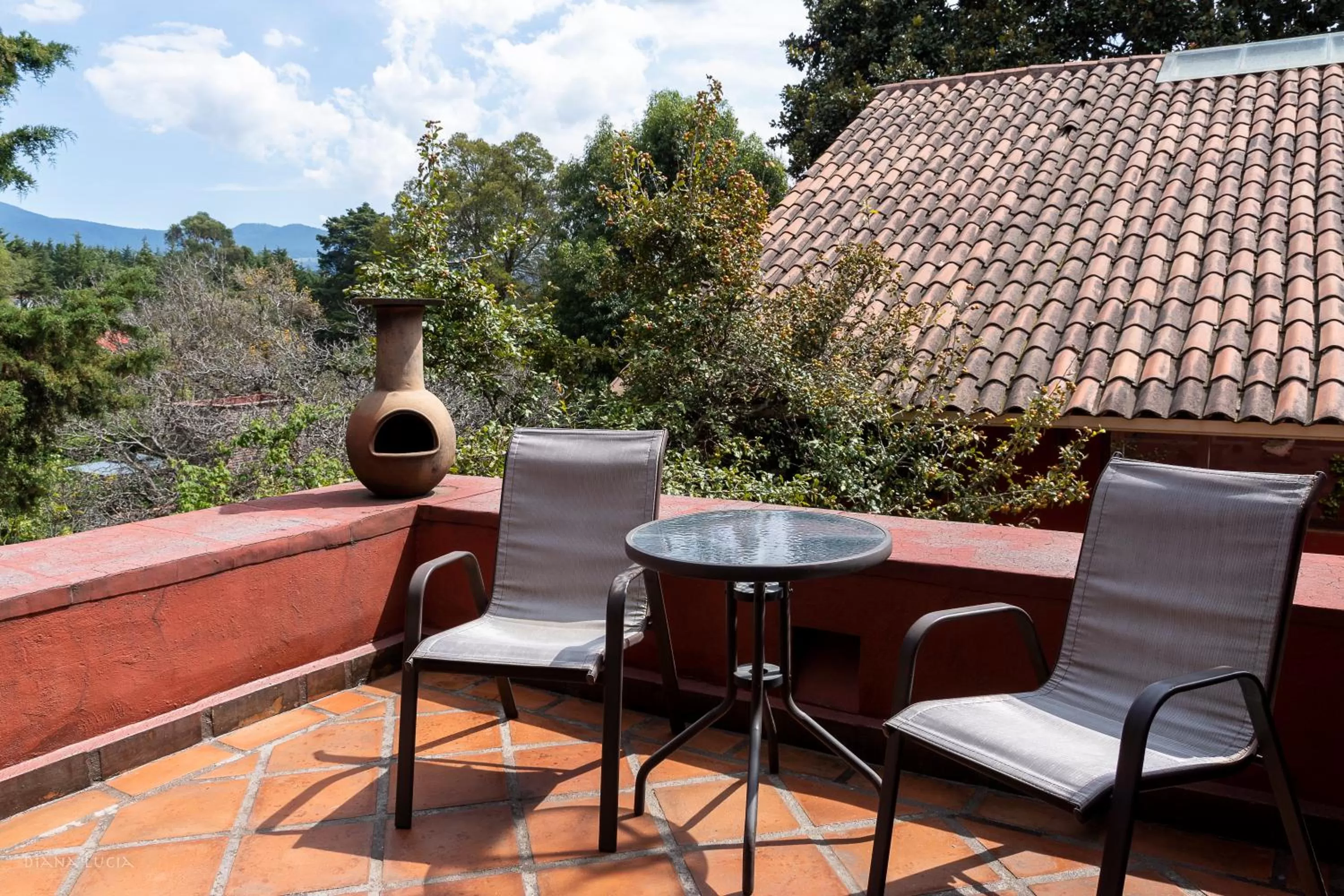Balcony/Terrace in Hotel Hacienda San Martin