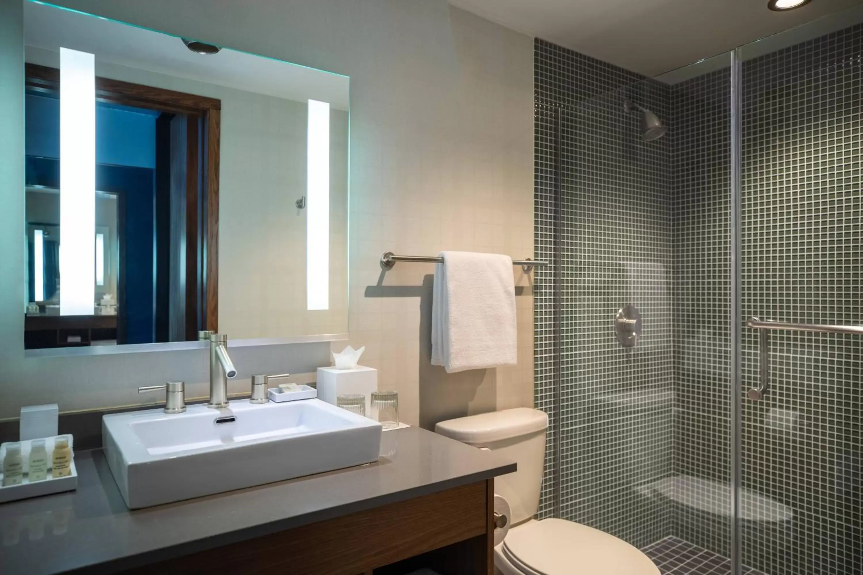 Bathroom in Renaissance Minneapolis Bloomington Hotel