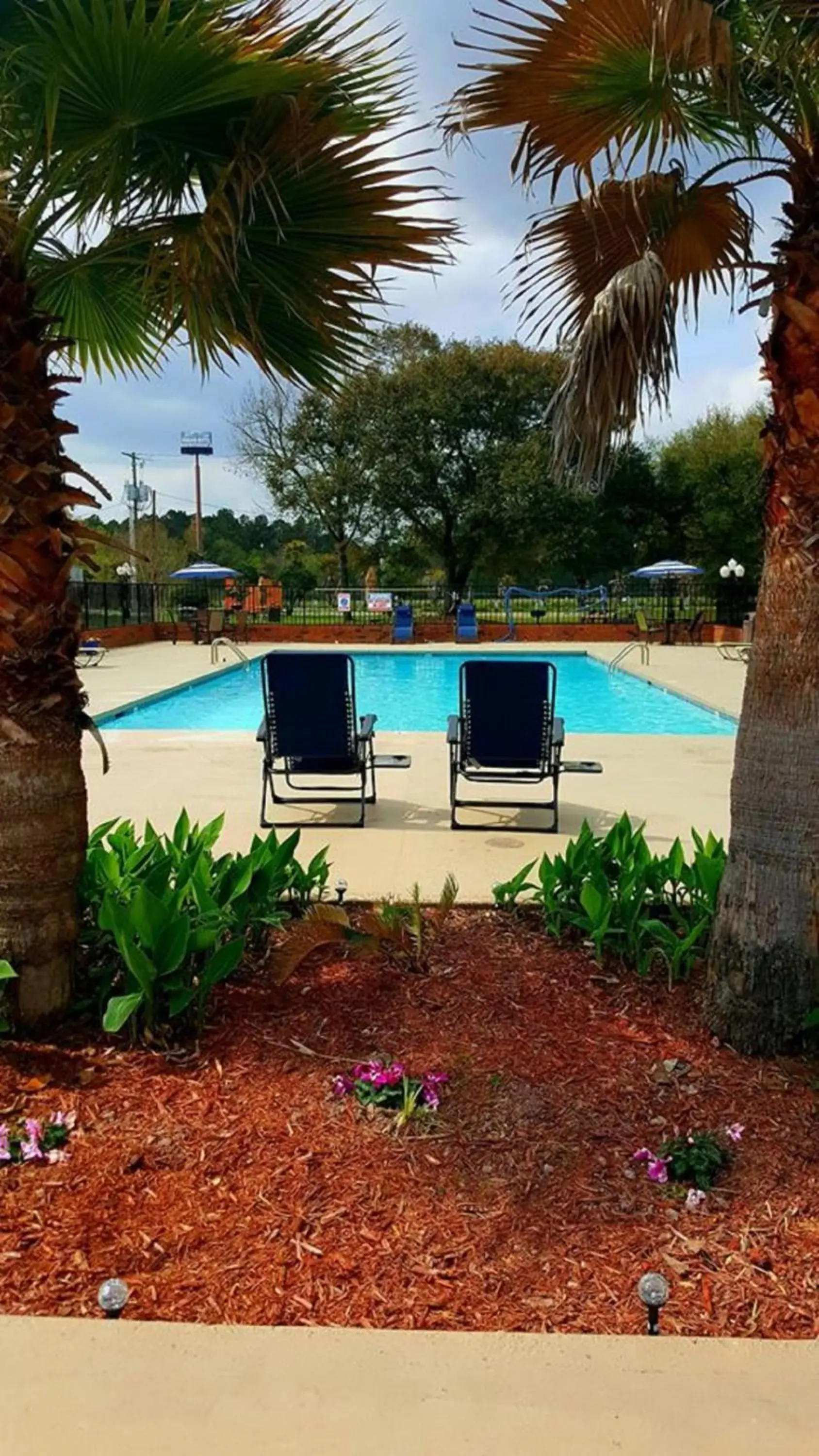Swimming Pool in Calloway Inn and Suites