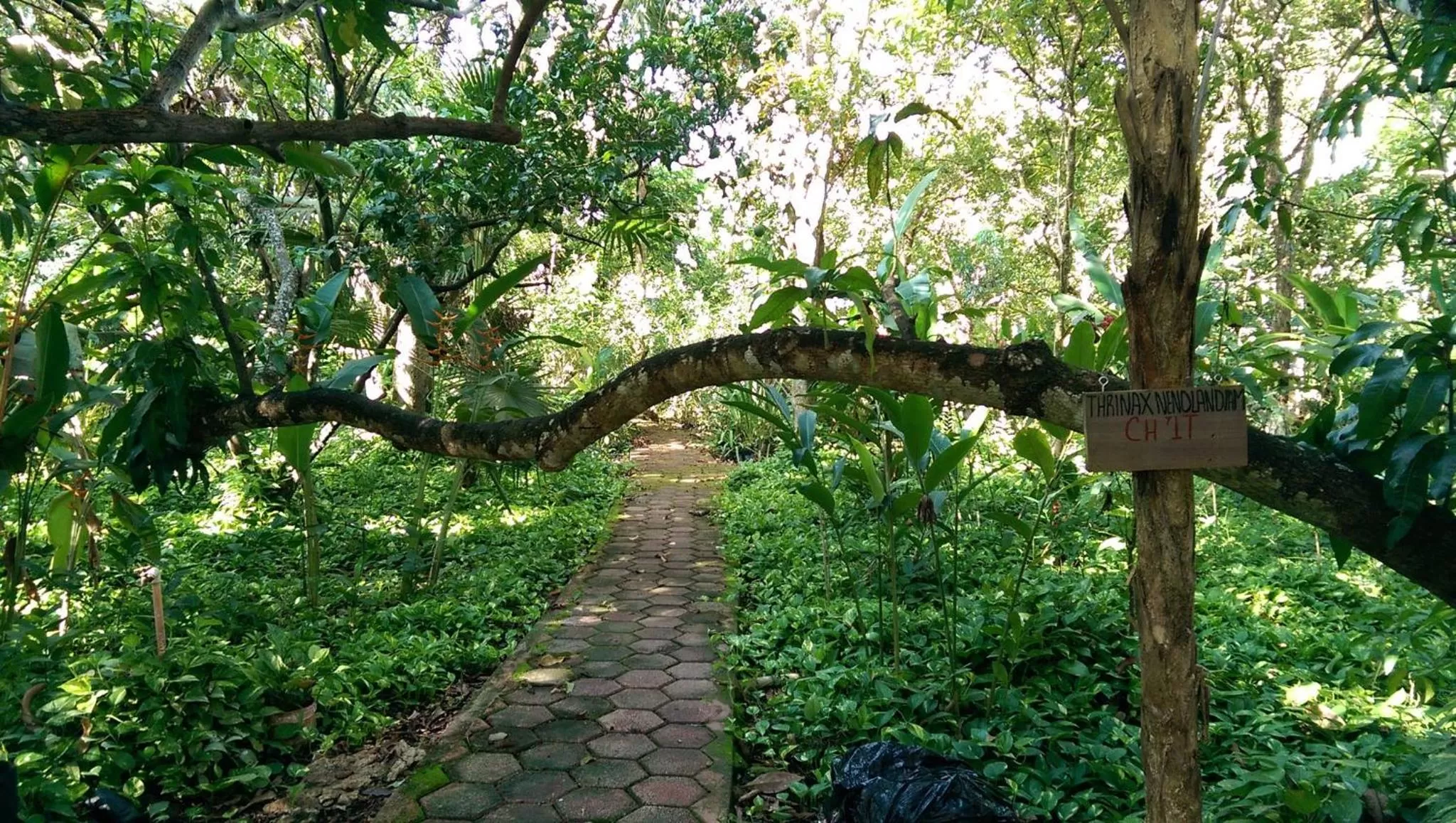 Garden in Ecotel Quinta Regia
