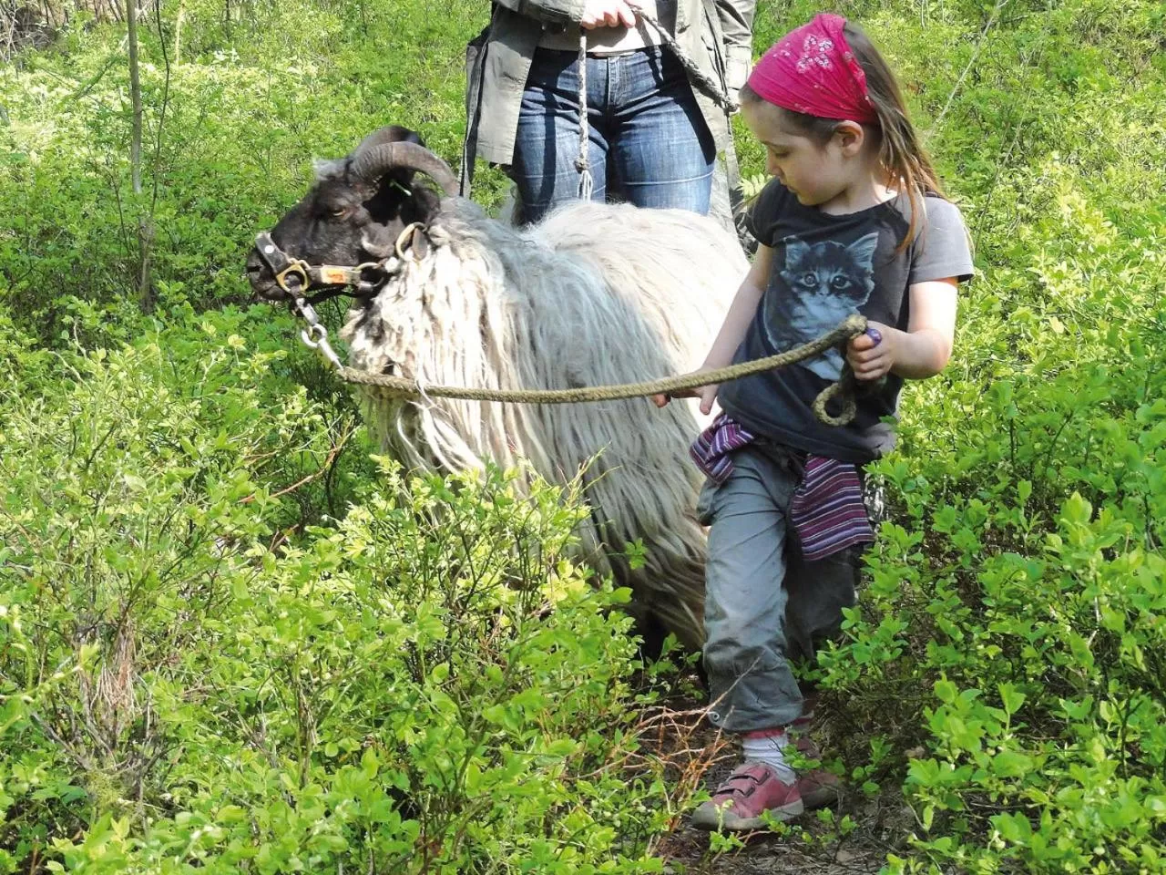 Pets in Biohotel Spöktal
