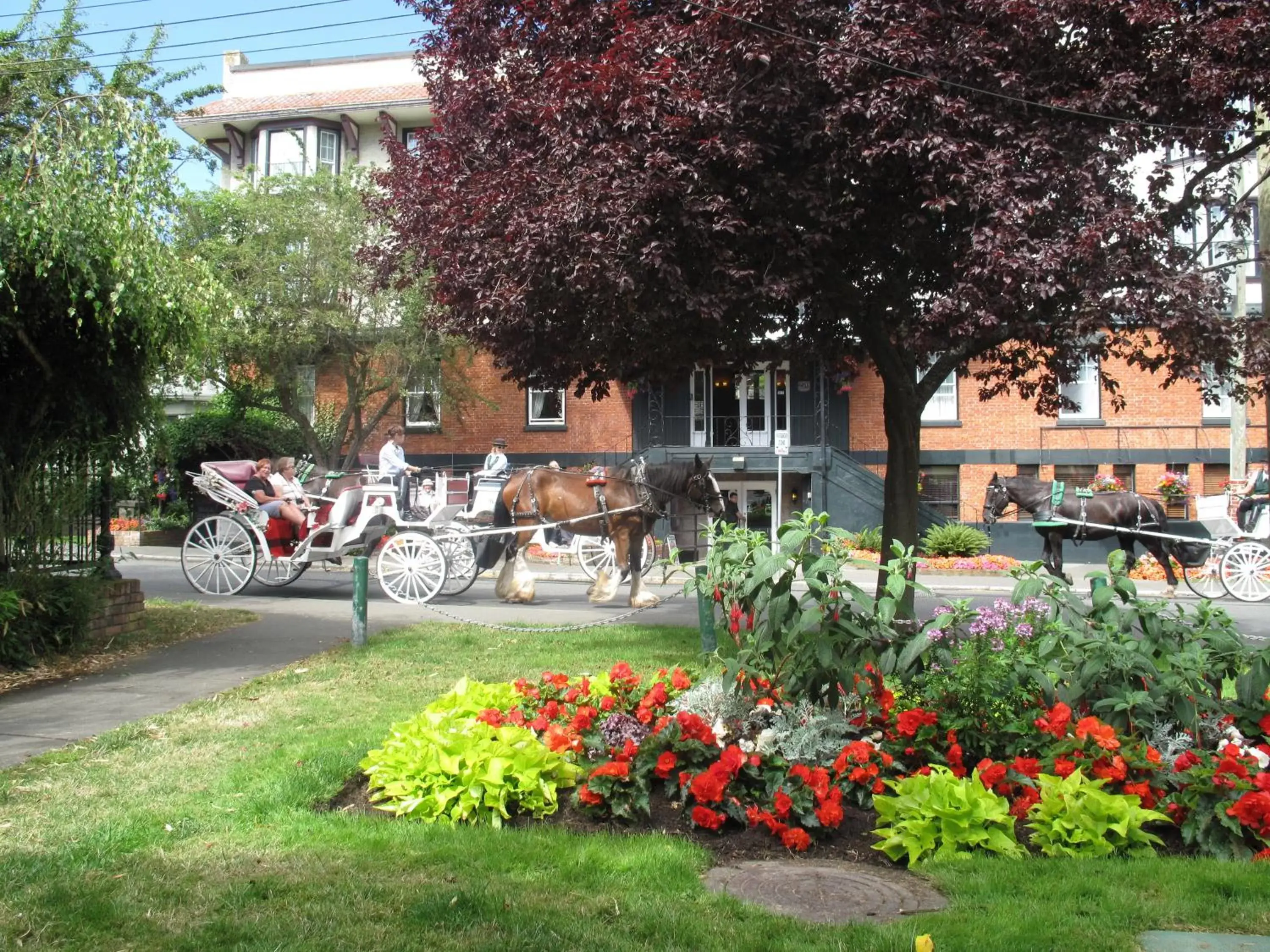 Facade/entrance in James Bay Inn Hotel, Suites & Cottage