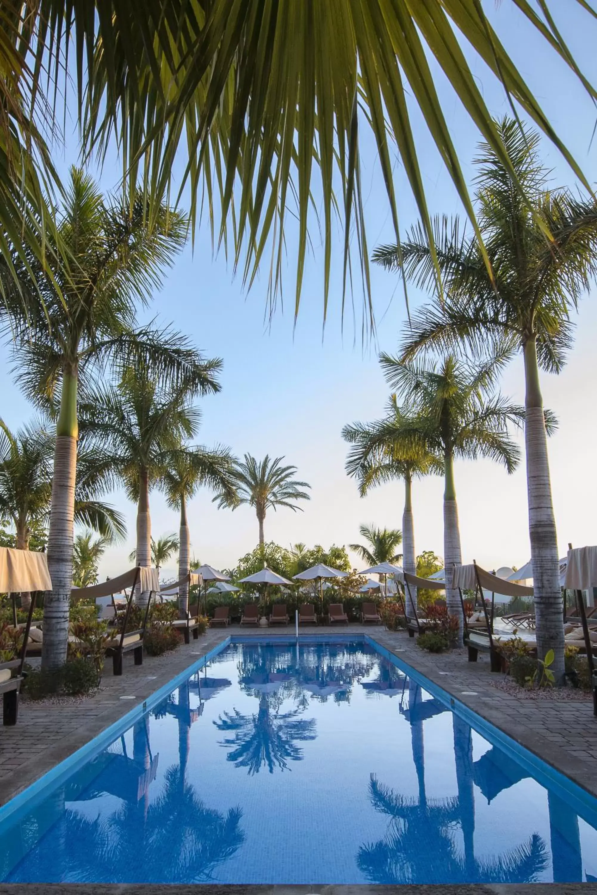 Swimming Pool in Vincci Selección La Plantación del Sur