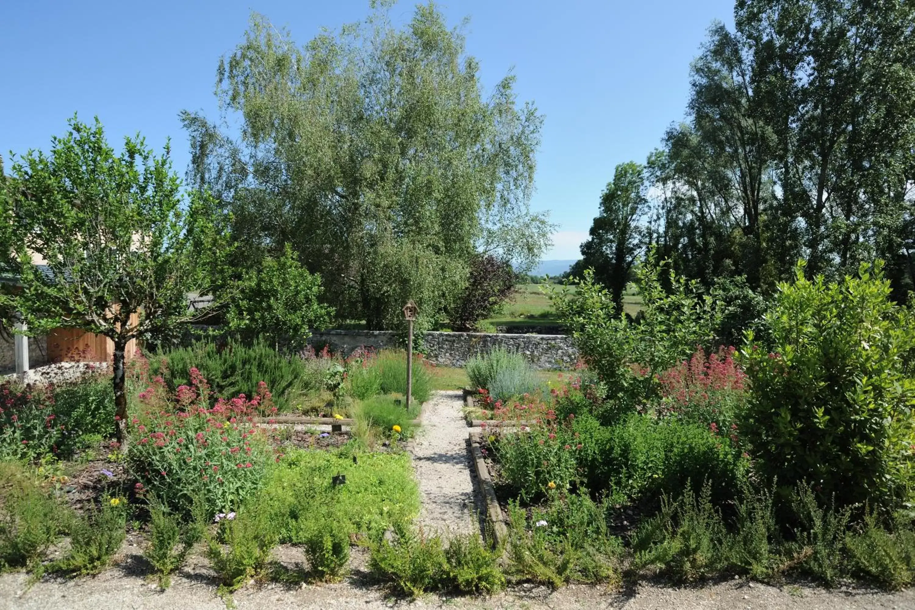 Garden in Les Villas du Domaine de Suzel