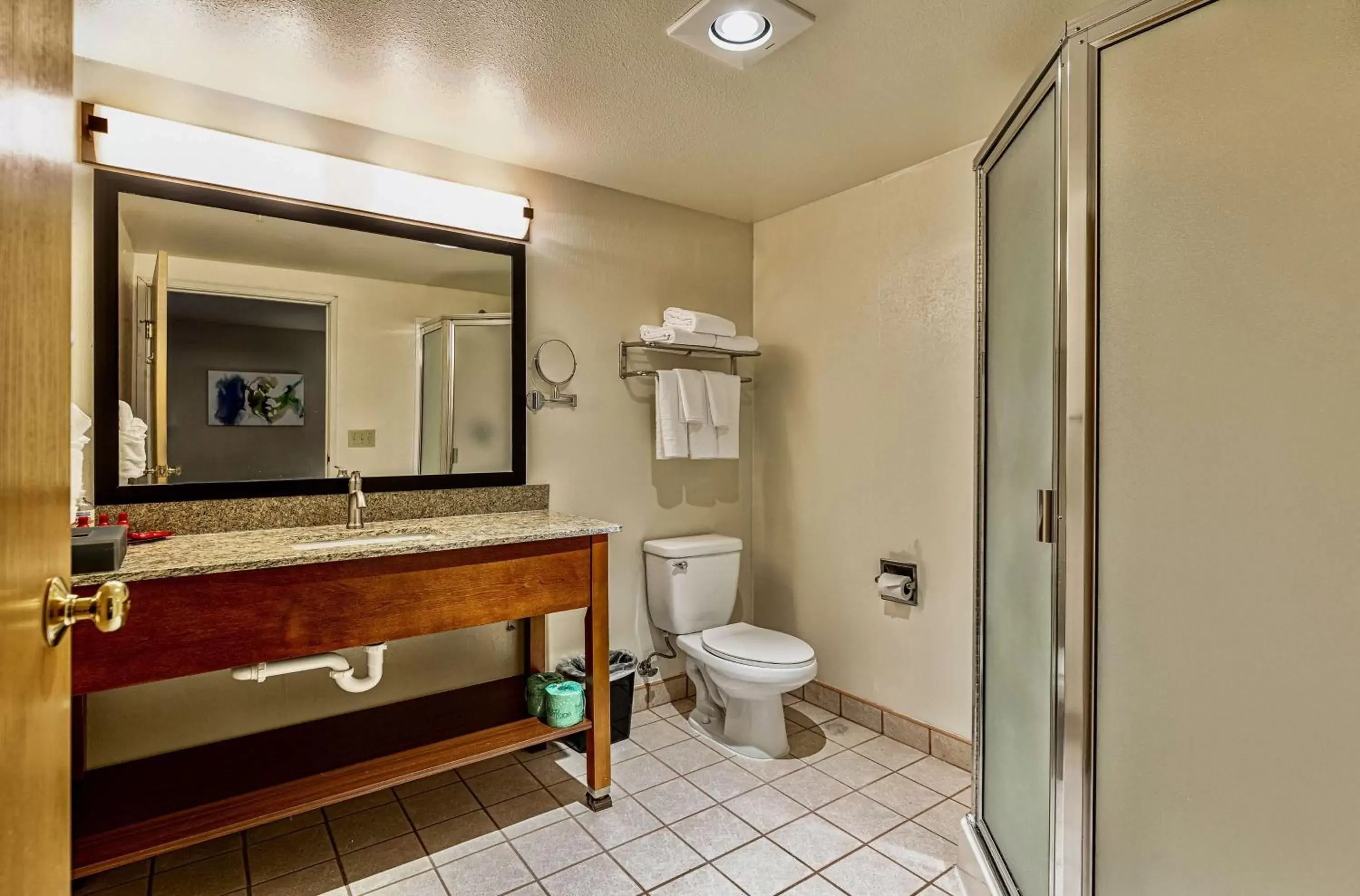 Shower, Bathroom in SureStay Plus Hotel by Best Western SeaTac Airport