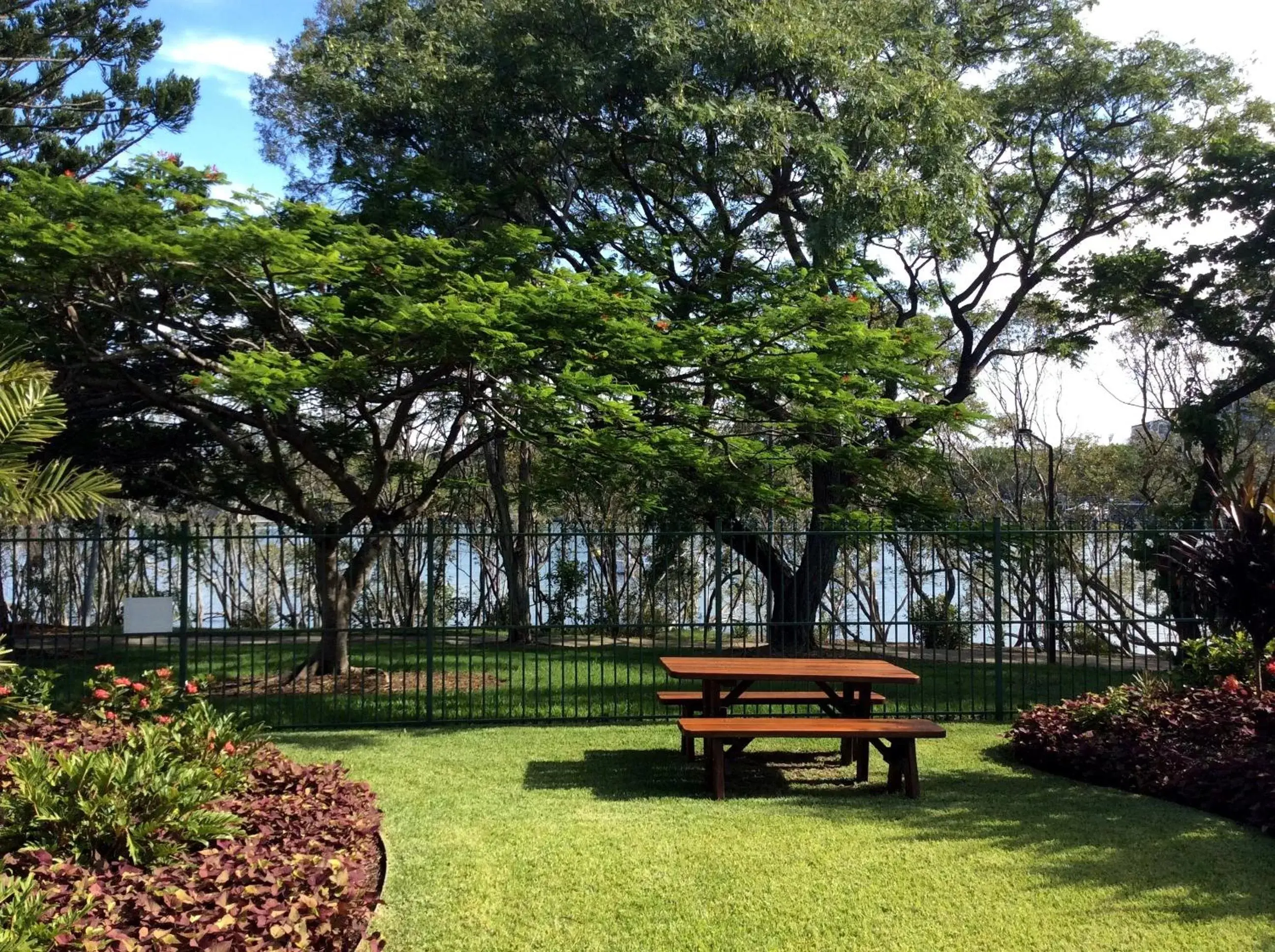 Day, Garden in Kirribilli Apartments