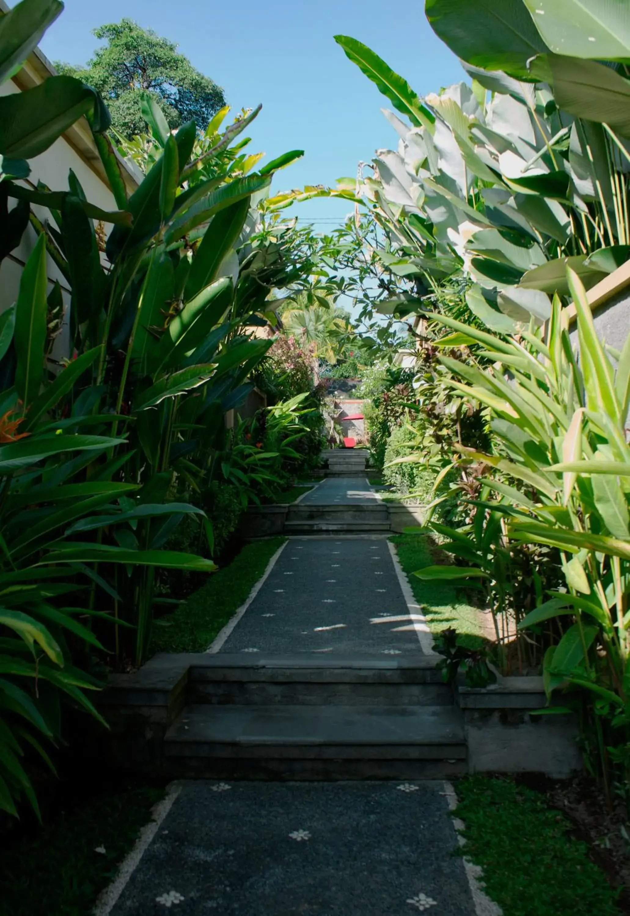 Garden in Kadiga Villas Ubud