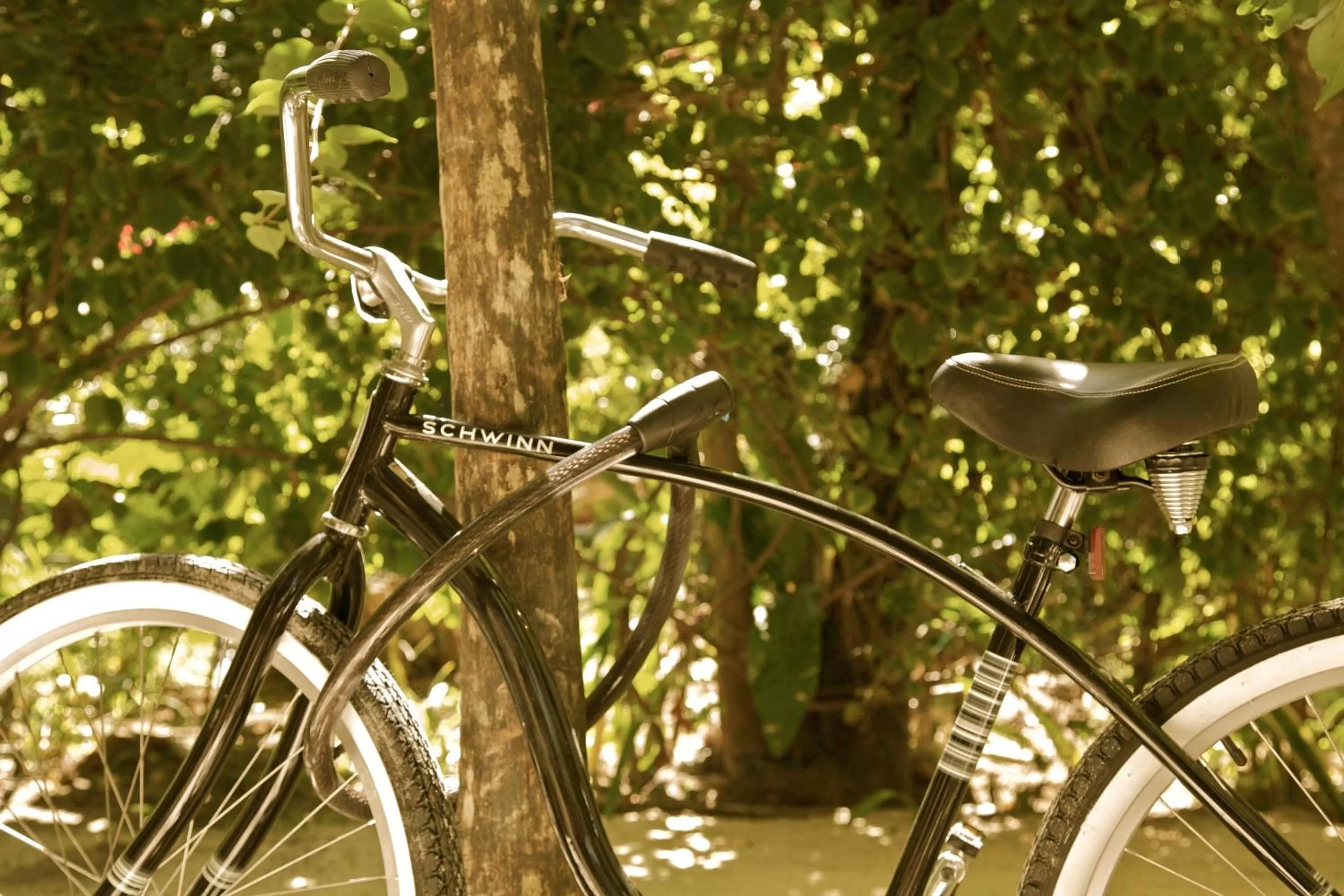 Activities, Other Activities in Casa Violeta