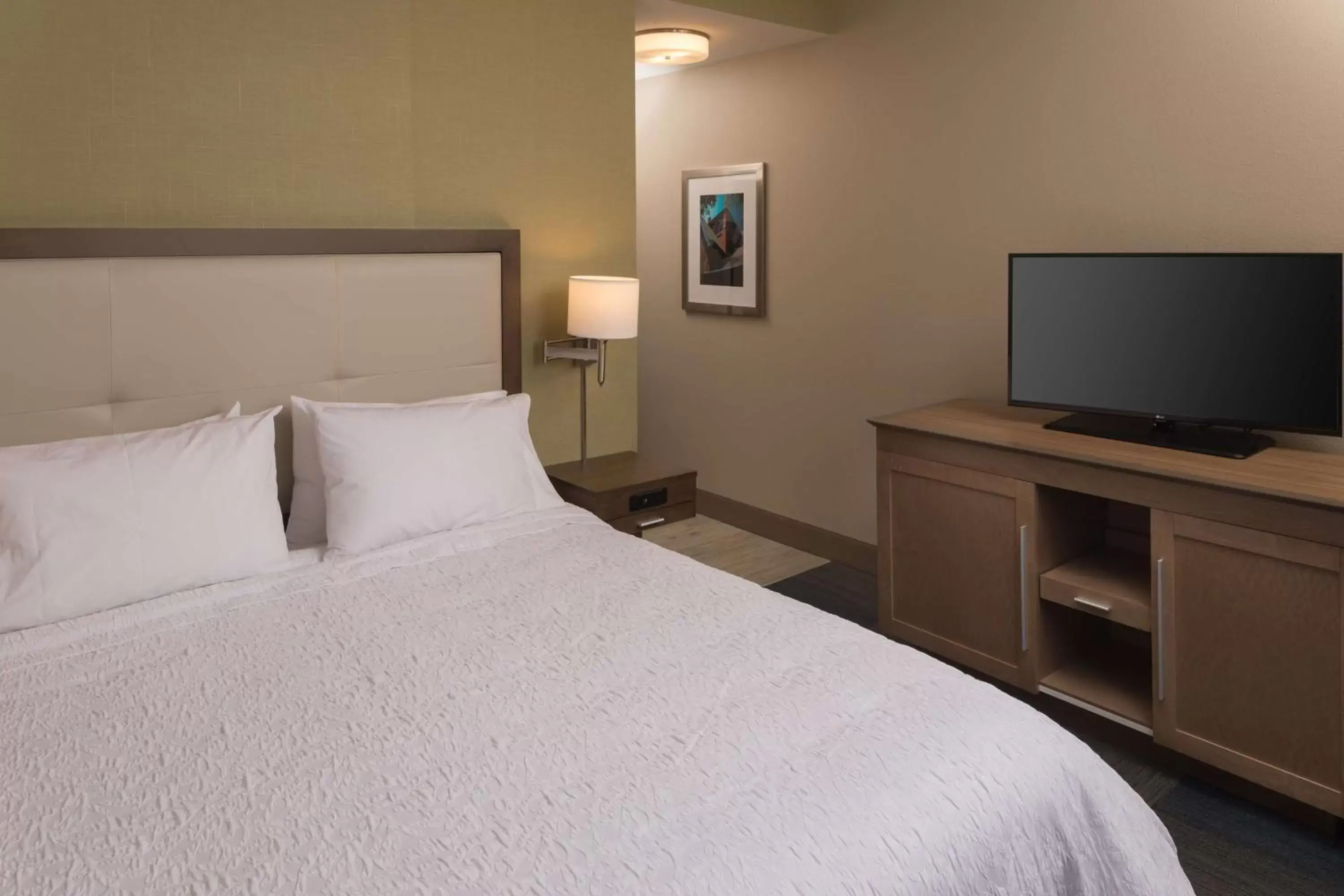 Bed in Hampton Inn & Suites-Asheville Biltmore Village, NC