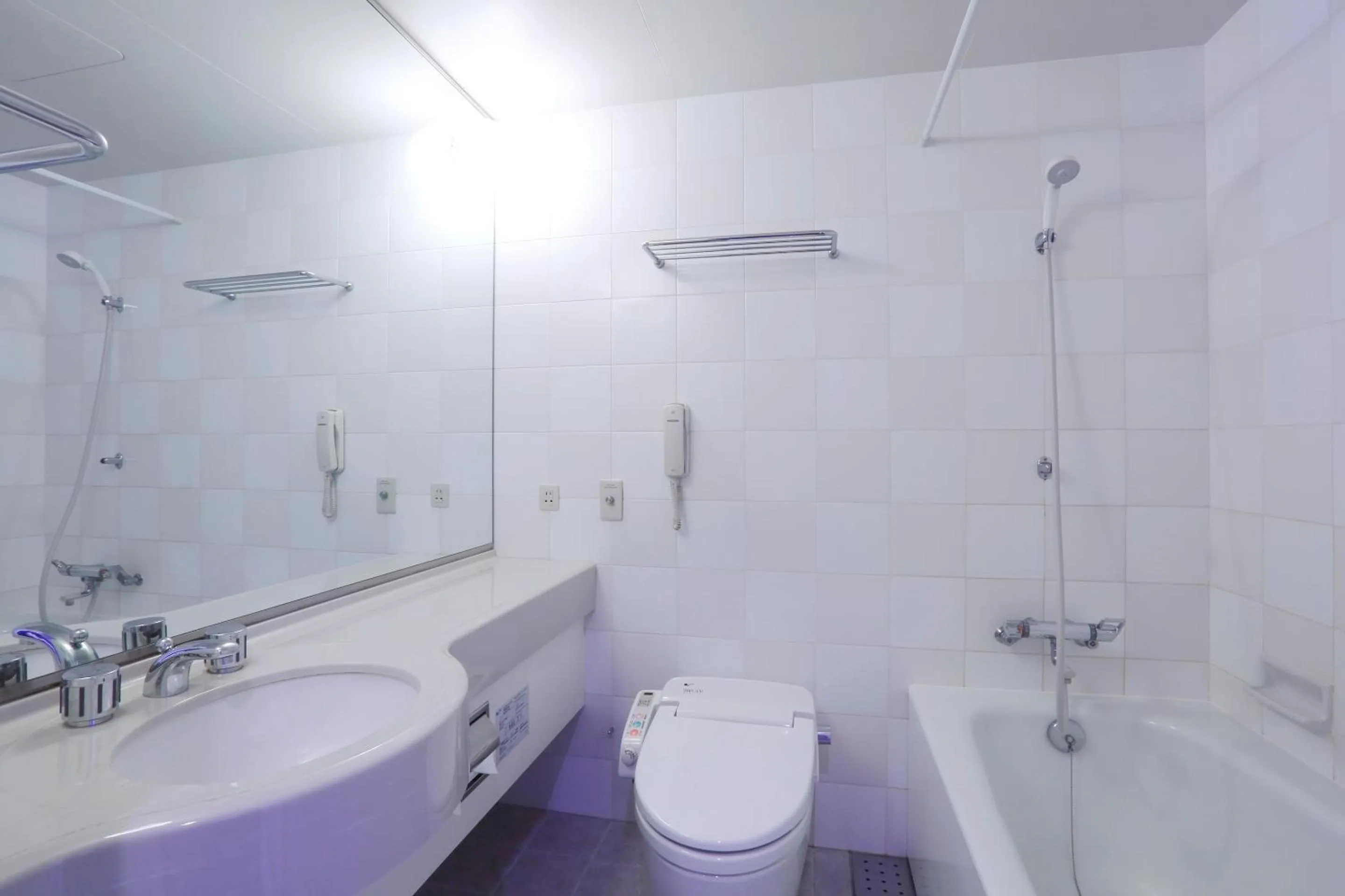 Bathroom in Dai-ichi Hotel Ryogoku