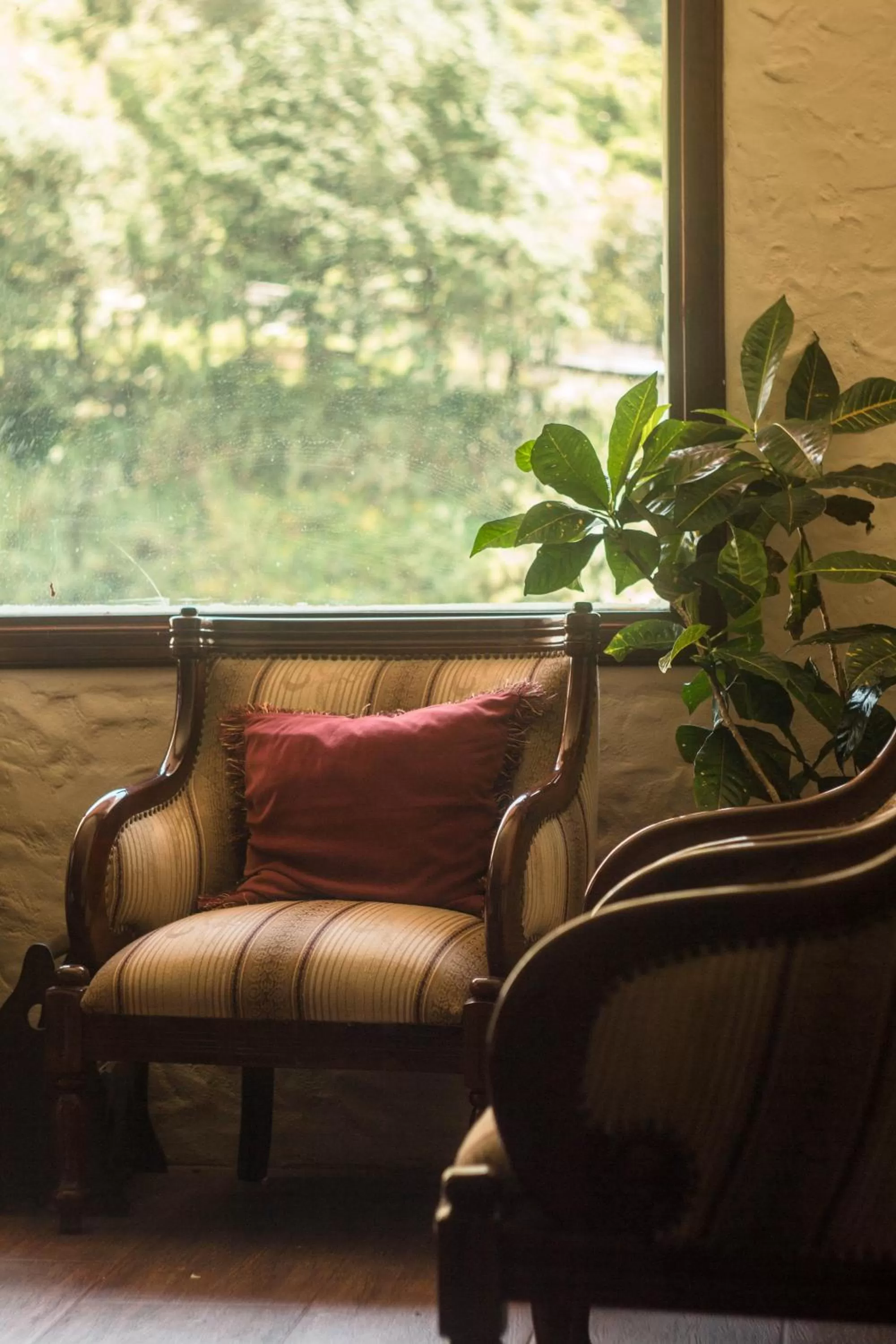 Living room in Aldea Real Eco Friendly