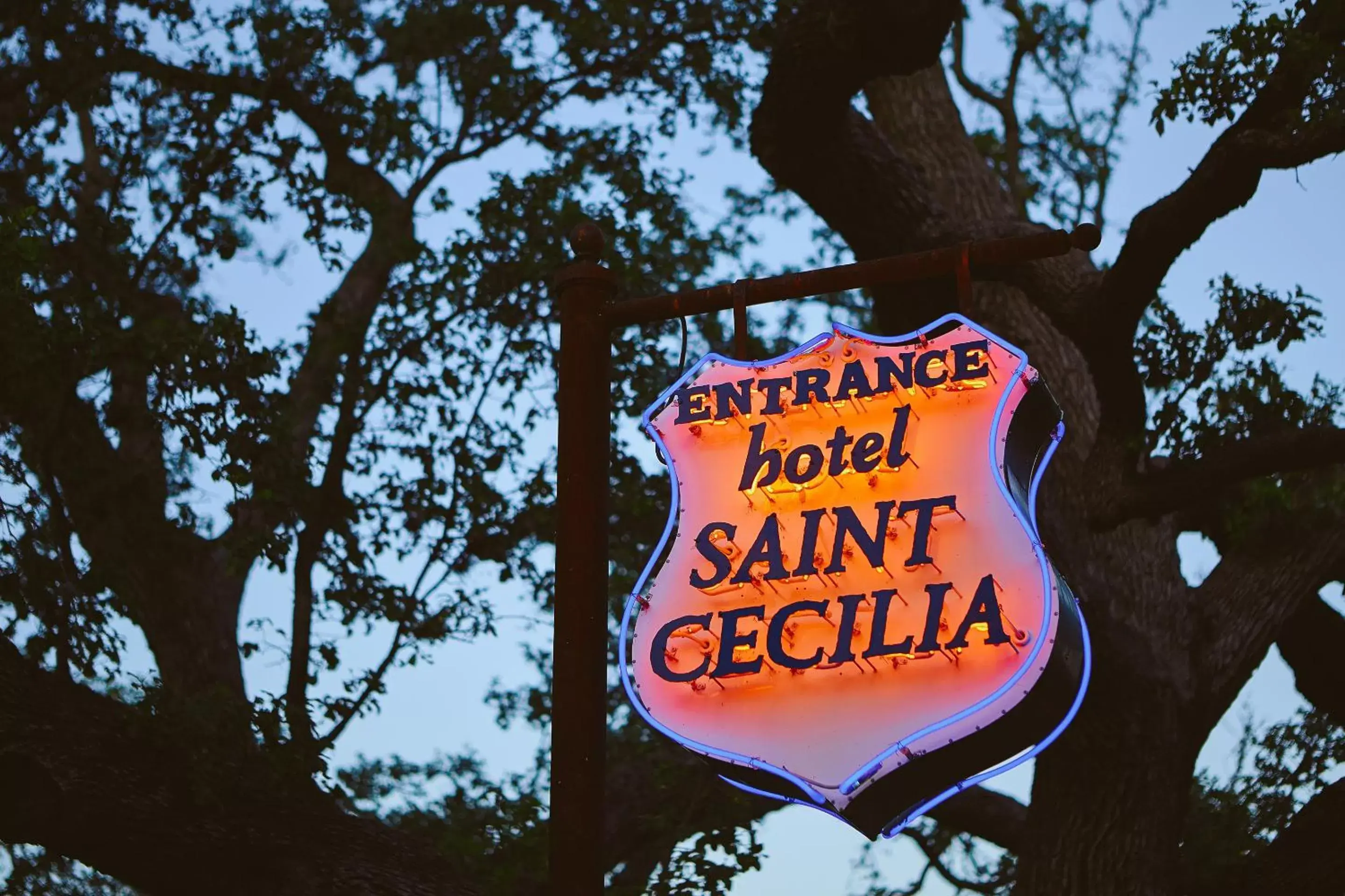 Facade/entrance in Hotel Saint Cecilia