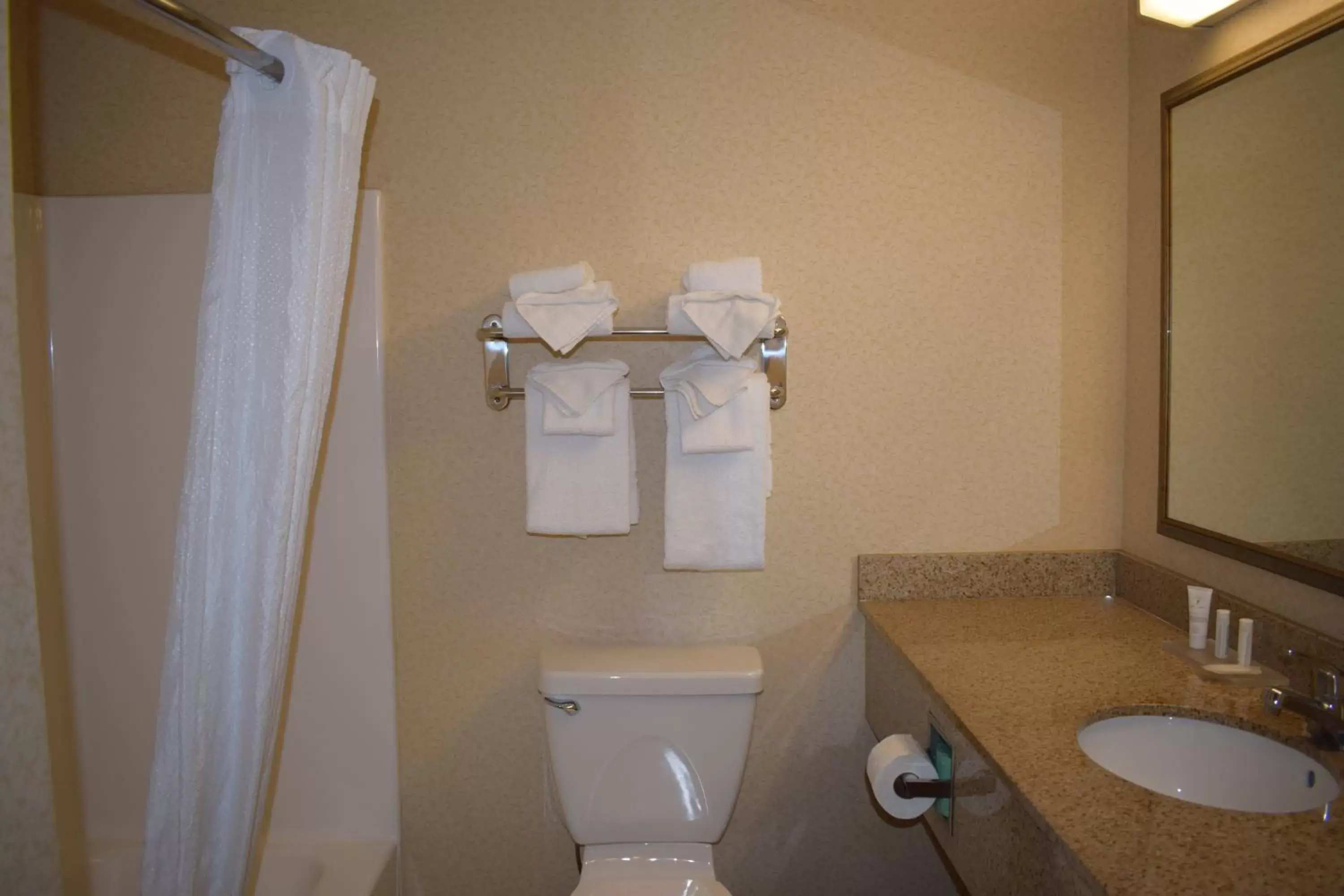 Bathroom in Wingate by Wyndham Youngstown - Austintown