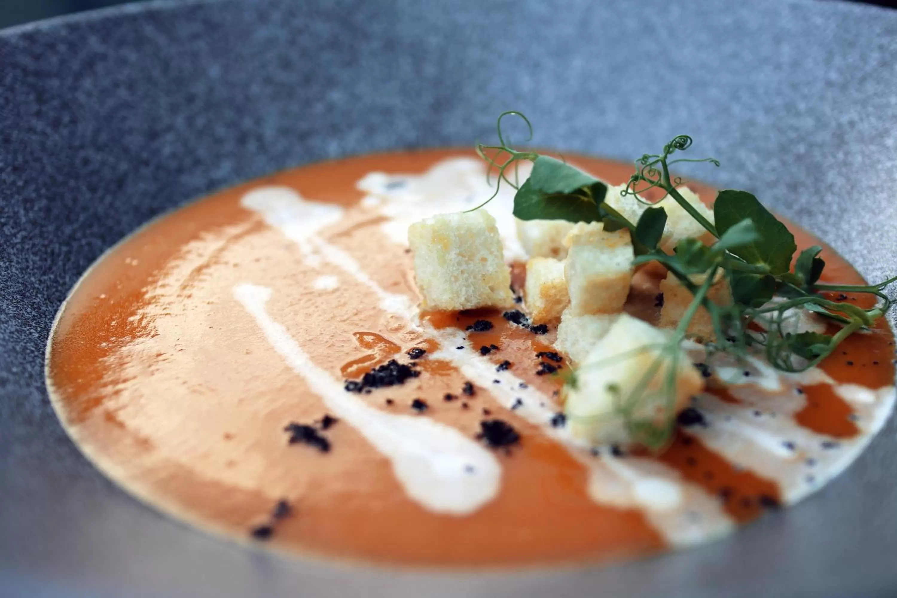 Restaurant/places to eat in The Verdandi Hotel