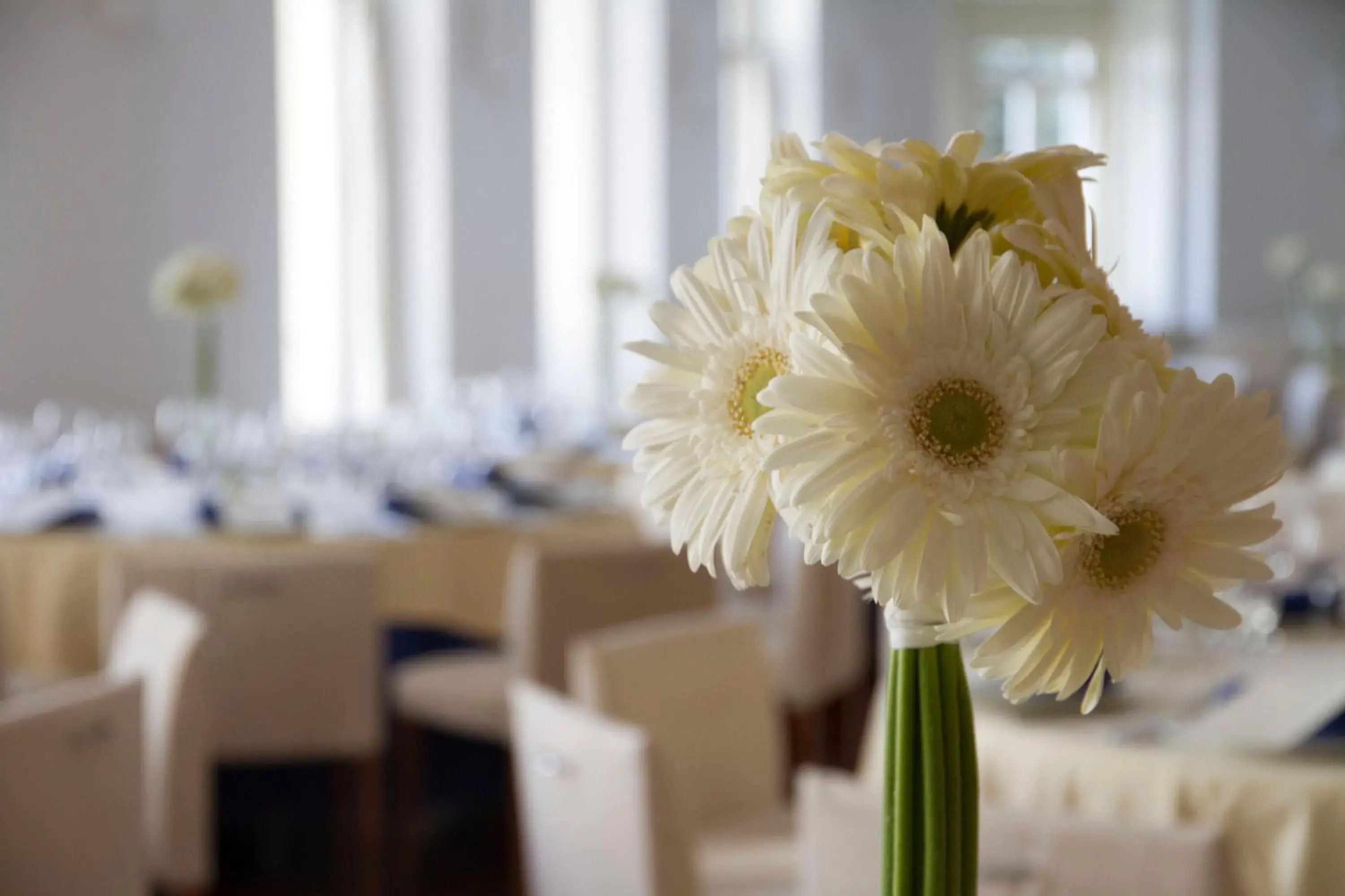 Restaurant/places to eat in Gran Hotel Albacete Restaurant/places to eat in Gran Hotel Albacete