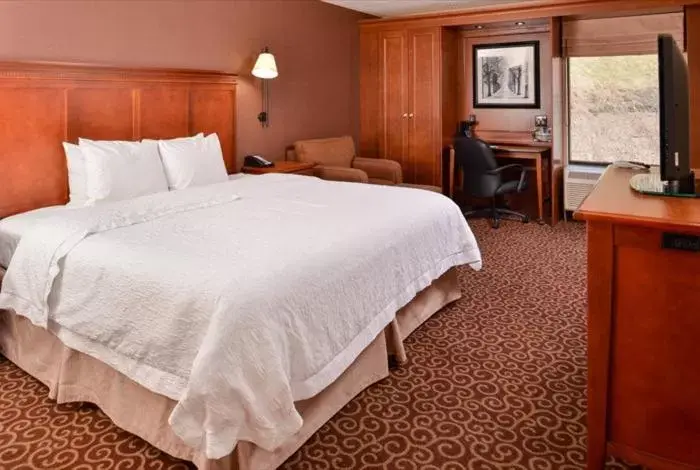Photo of the whole room, Bed in McKnight Hotel