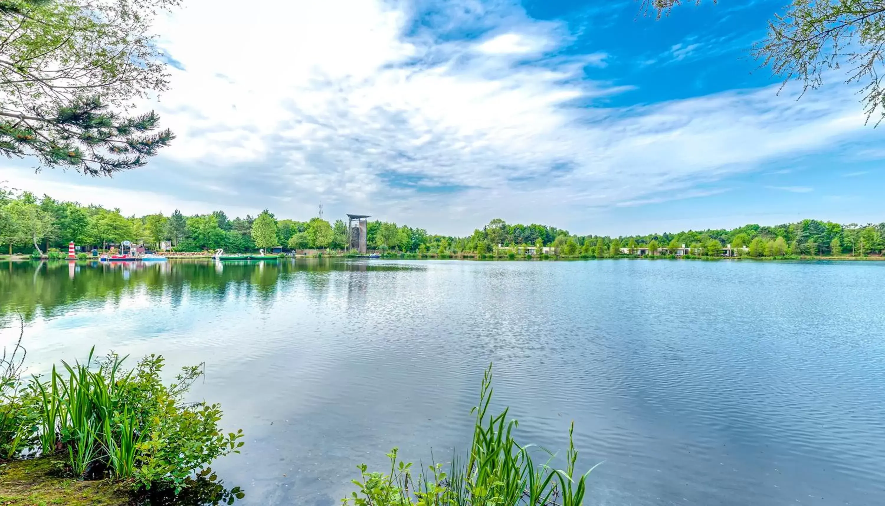 Natural landscape in Hotel Het Heijderbos by Center Parcs