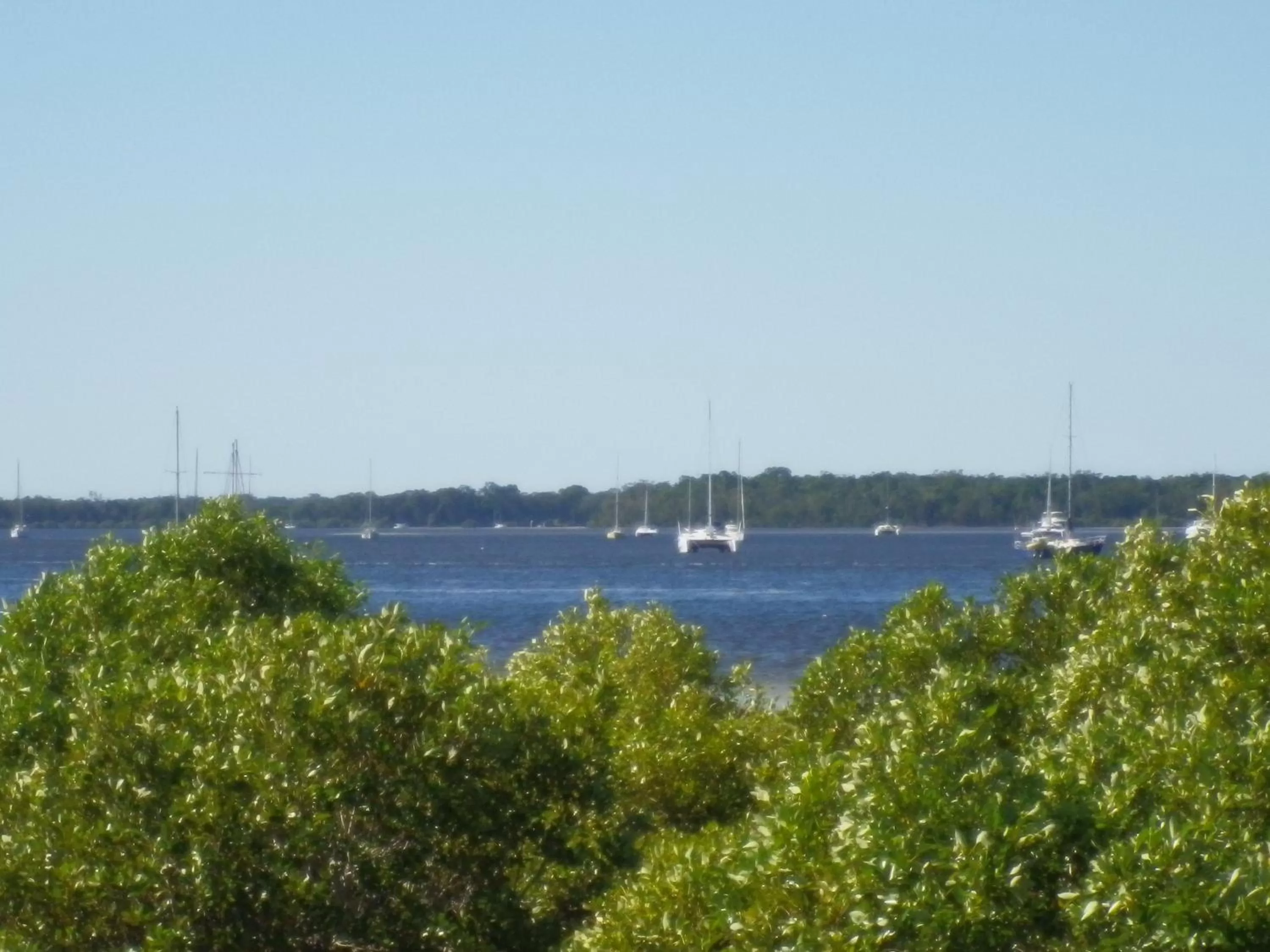 Fishing in Tin Can Bay's Sleepy Lagoon Motel