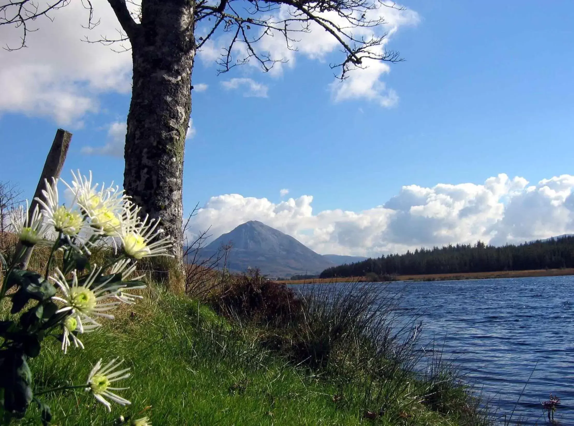 View (from property/room) in An Chúirt Hotel, Gweedore, Donegal