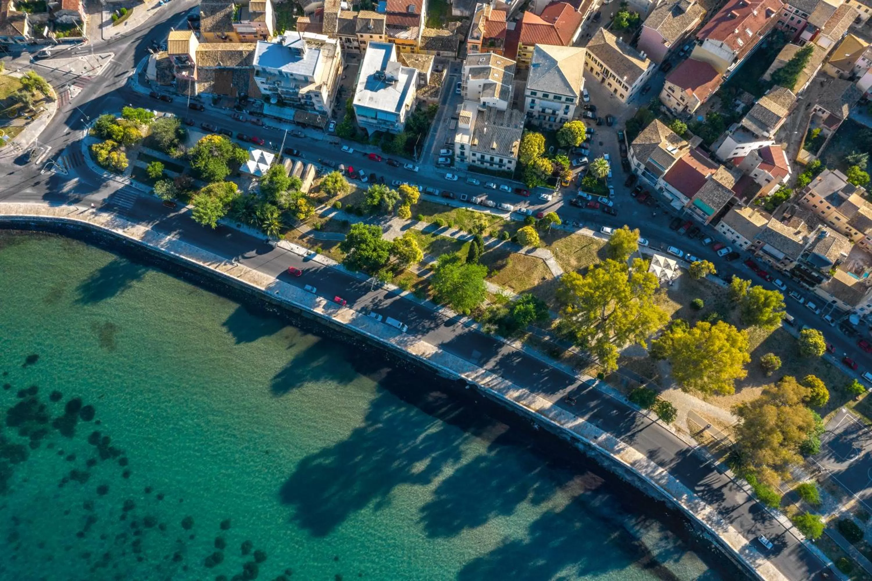 Bird's eye view in Acanthus blue