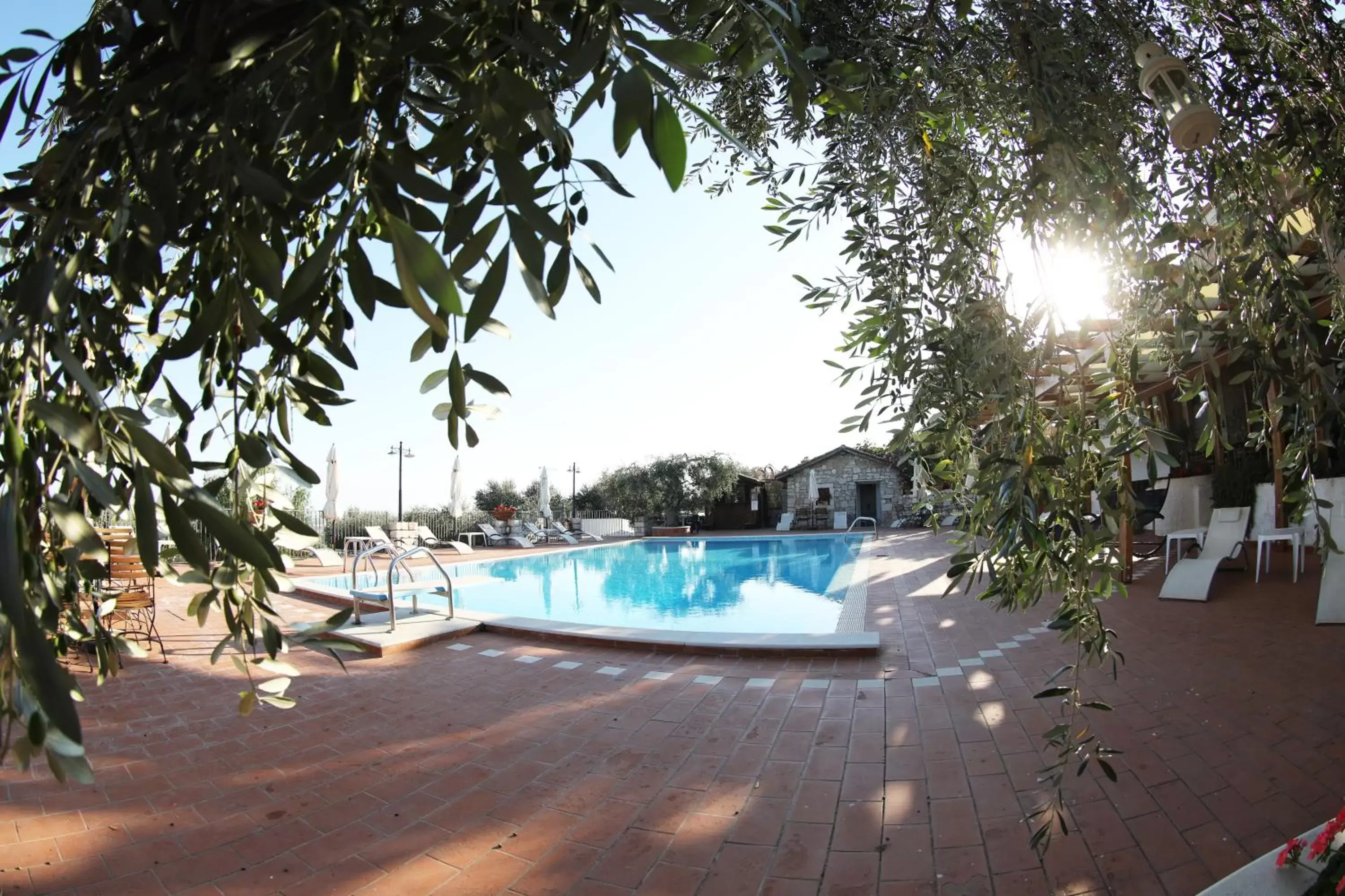 Swimming Pool in Le Cese