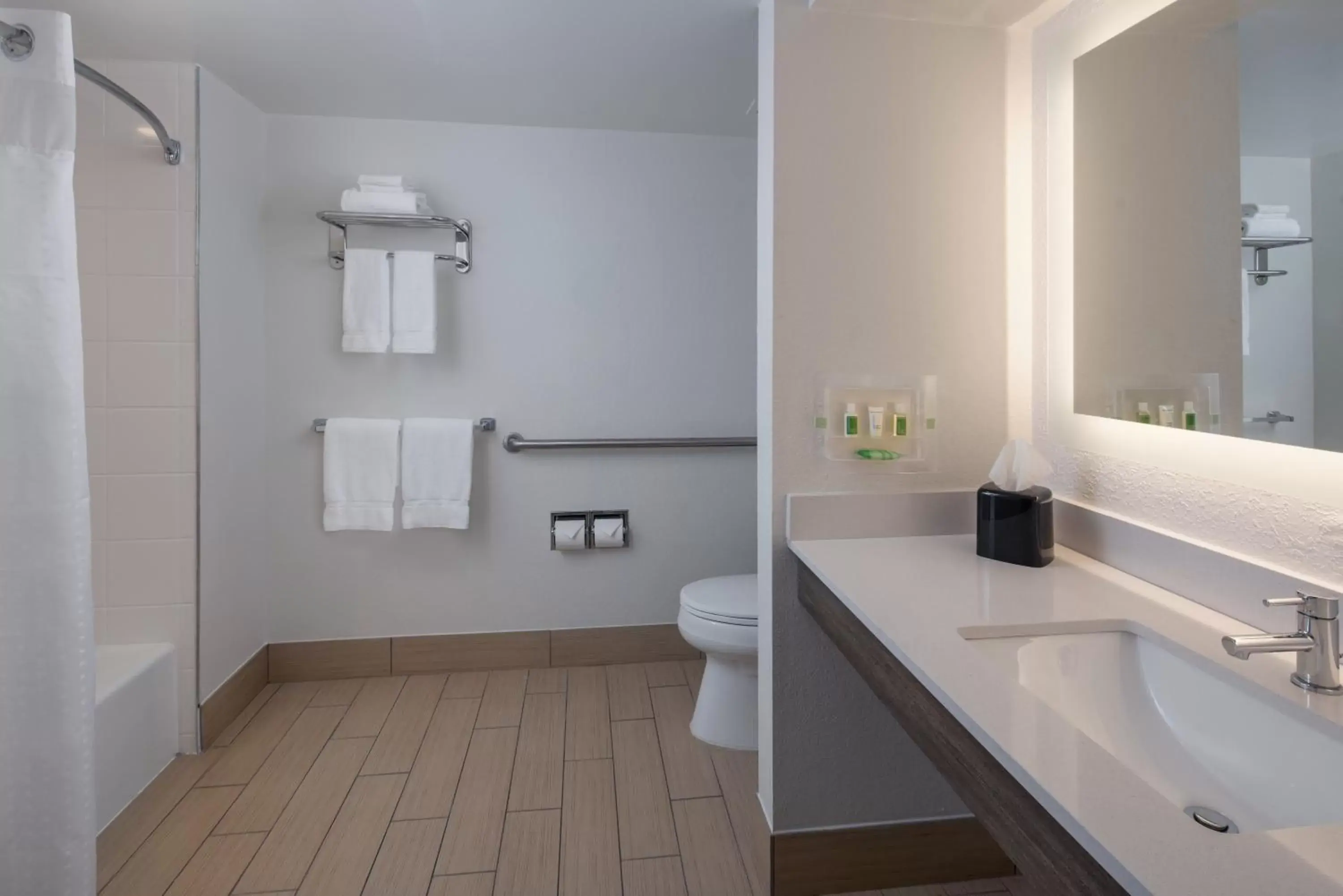 Bathroom in Holiday Inn Tampa Westshore - Airport Area, an IHG Hotel