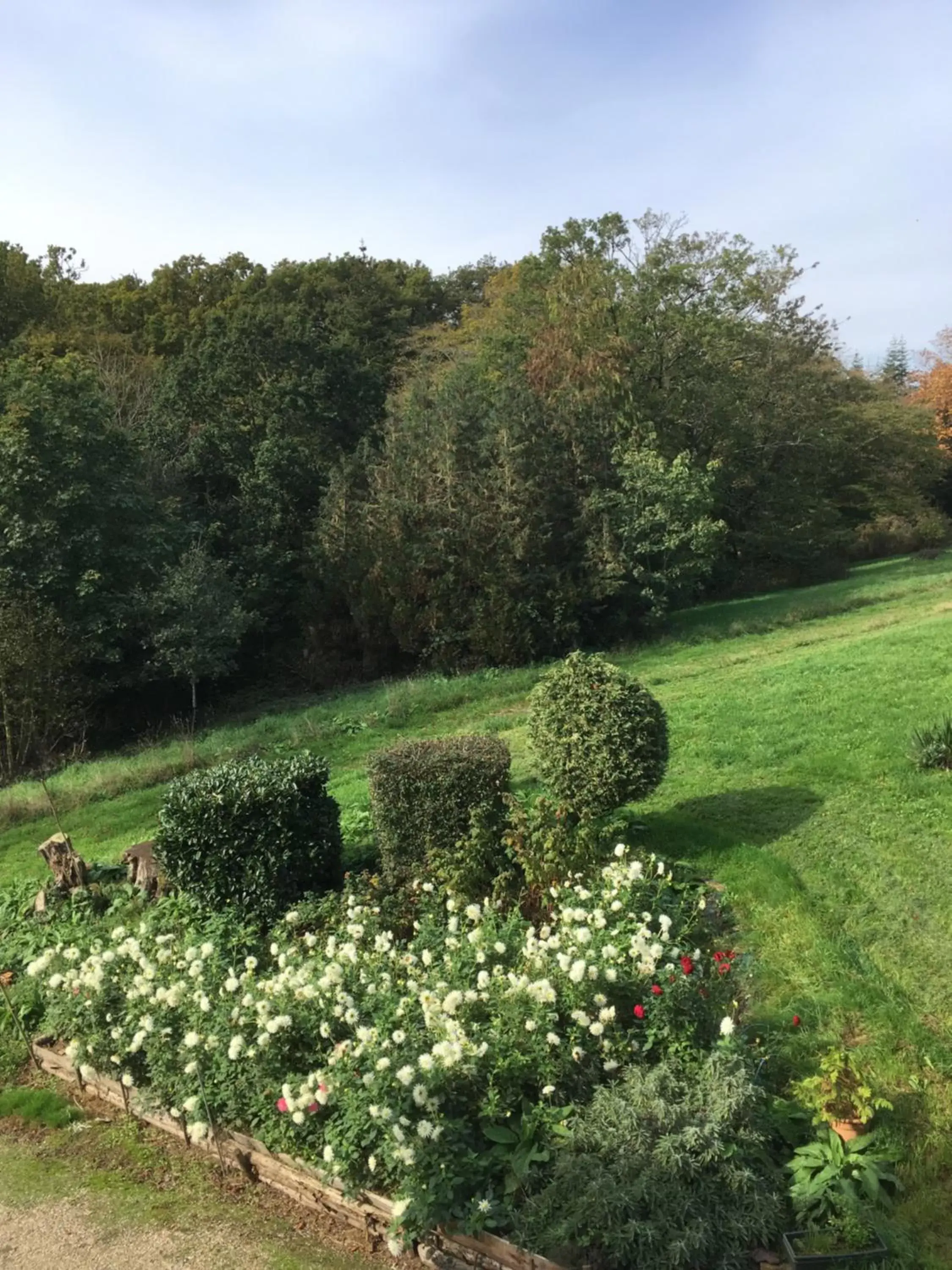 Garden view, Garden in Château de La Ville-Huë