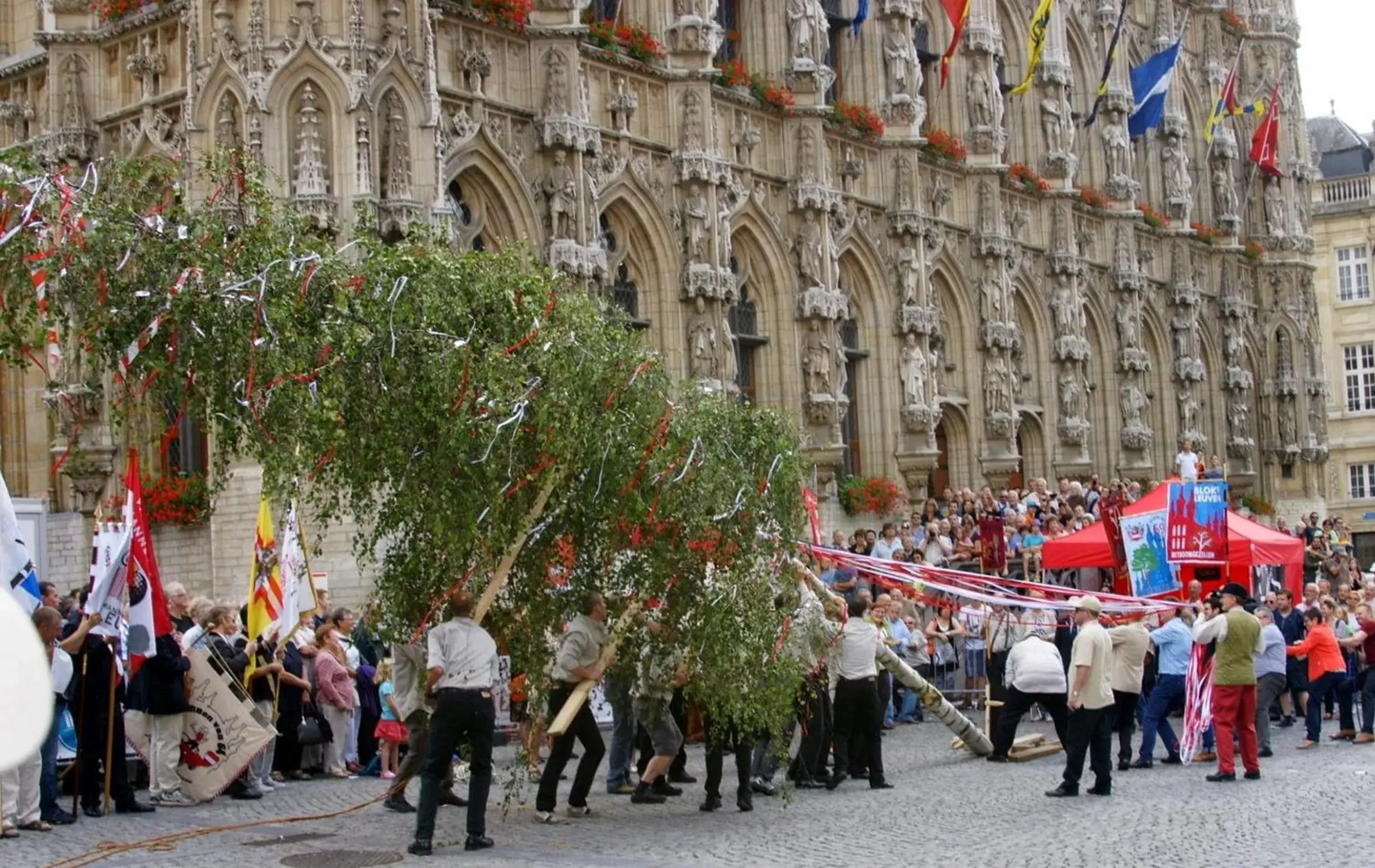 Activities, Guests in Hotel Malon