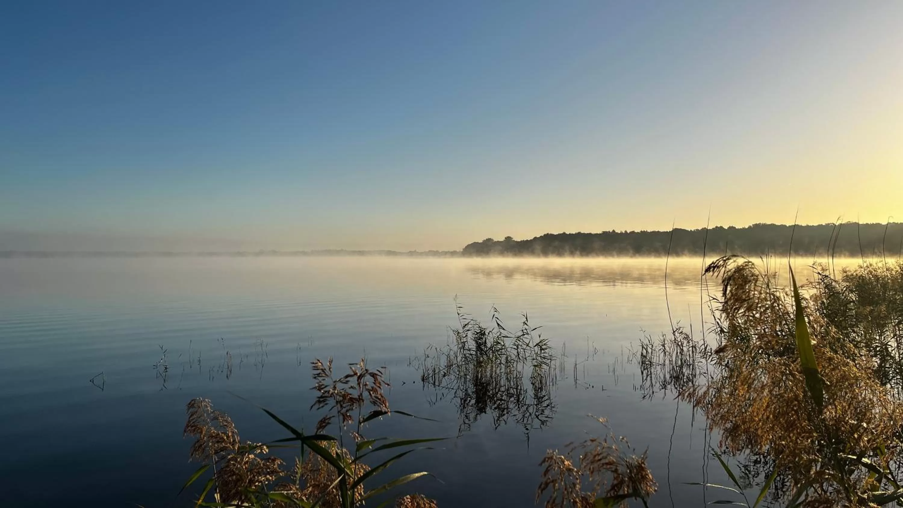 Day in Müggelseeperle