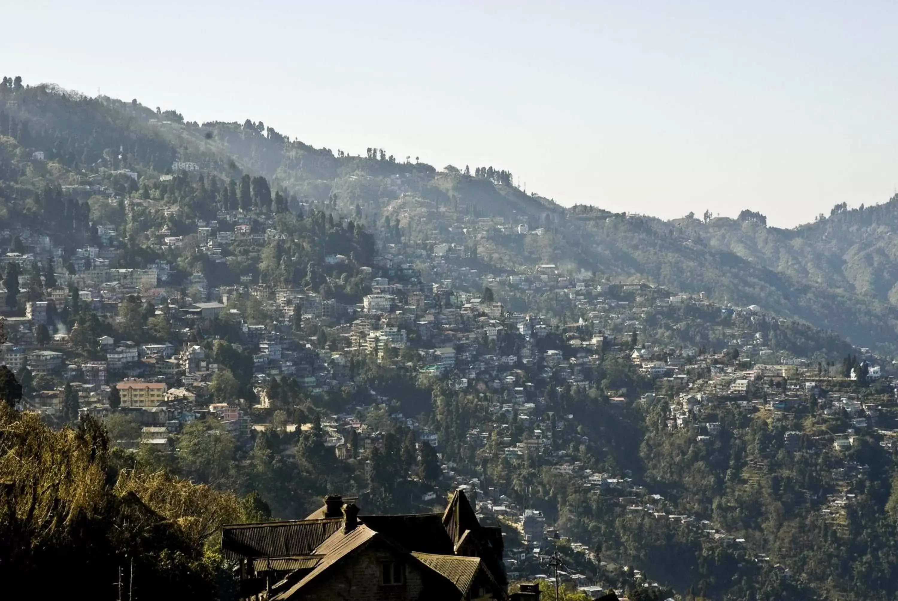 Day in Mayfair Darjeeling