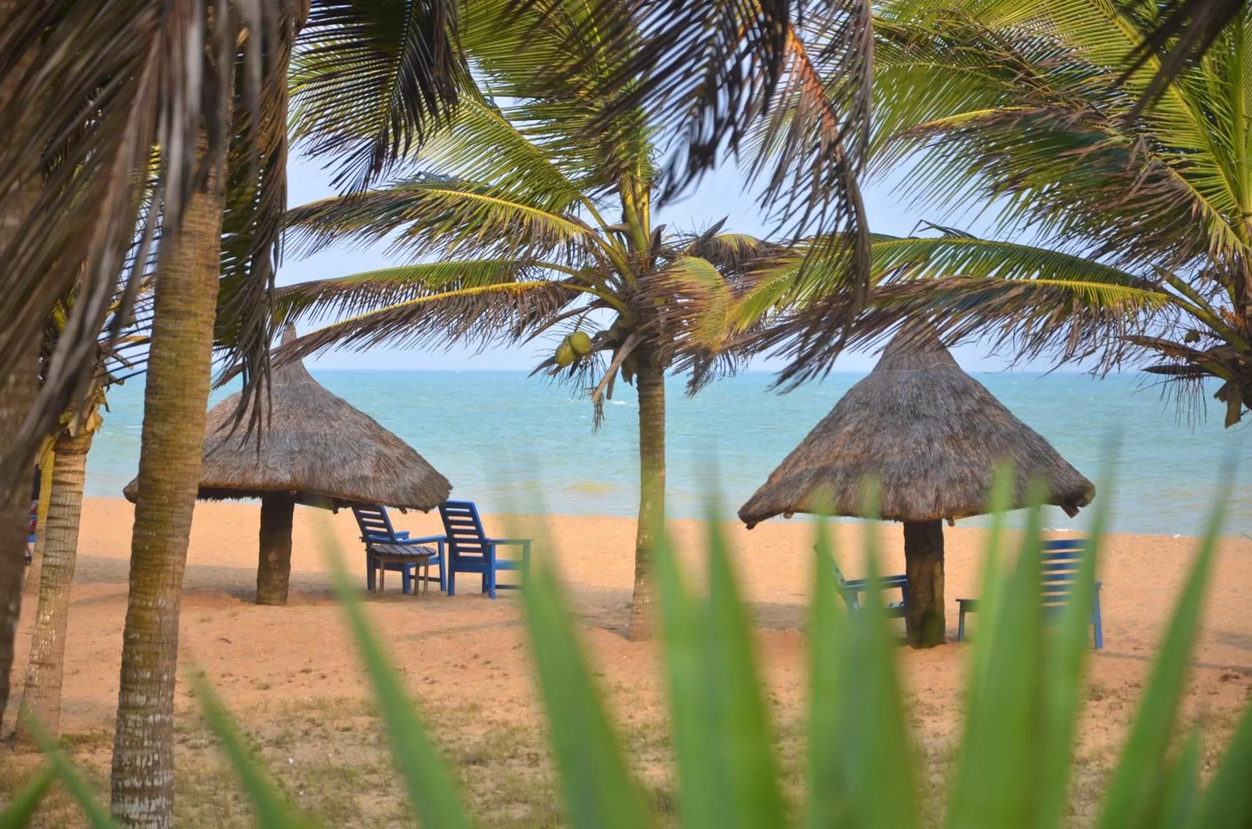 Beach in Auberge de Grand Popo