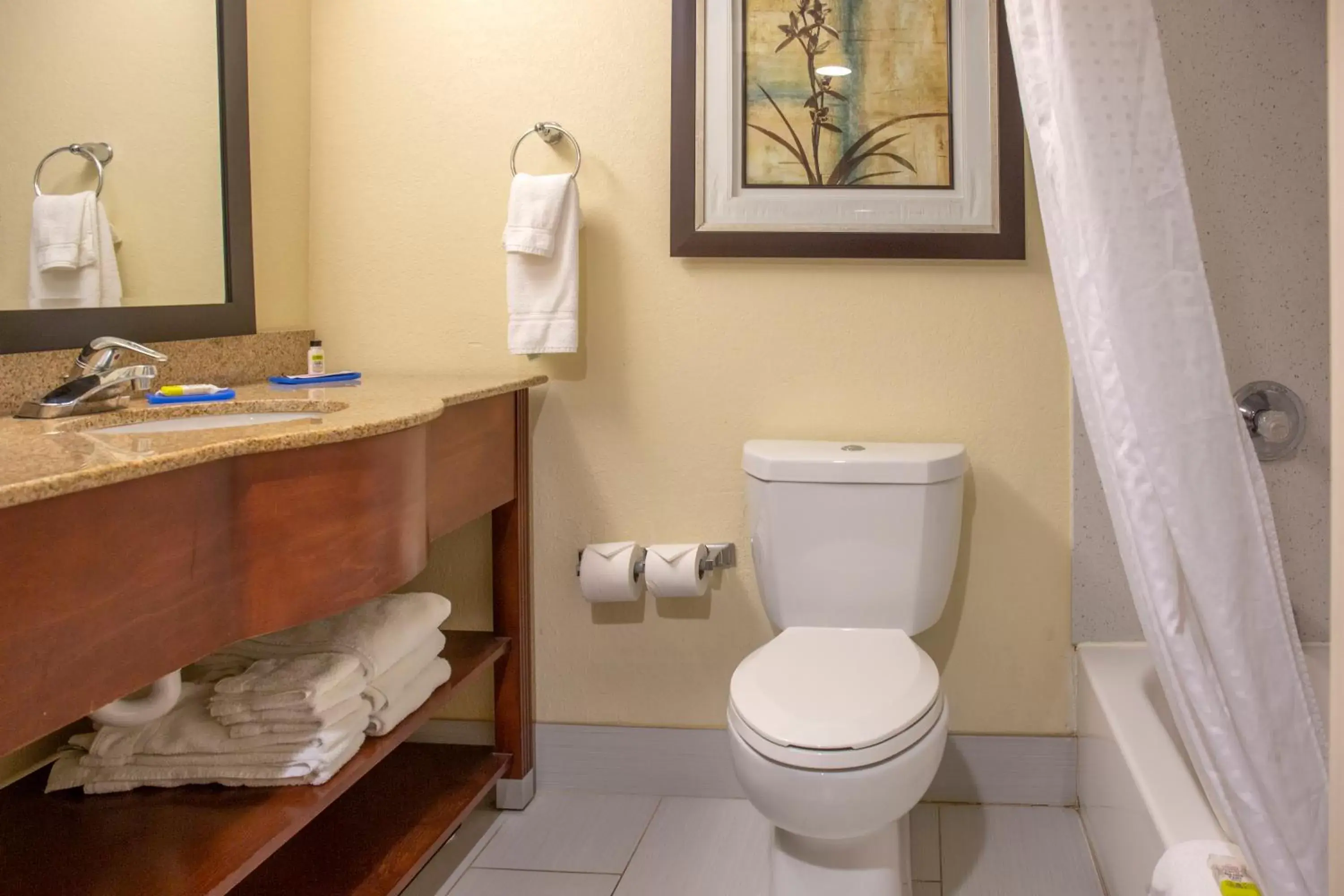 Bathroom in Holiday Inn Express Harrisburg SW - Mechanicsburg, an IHG Hotel