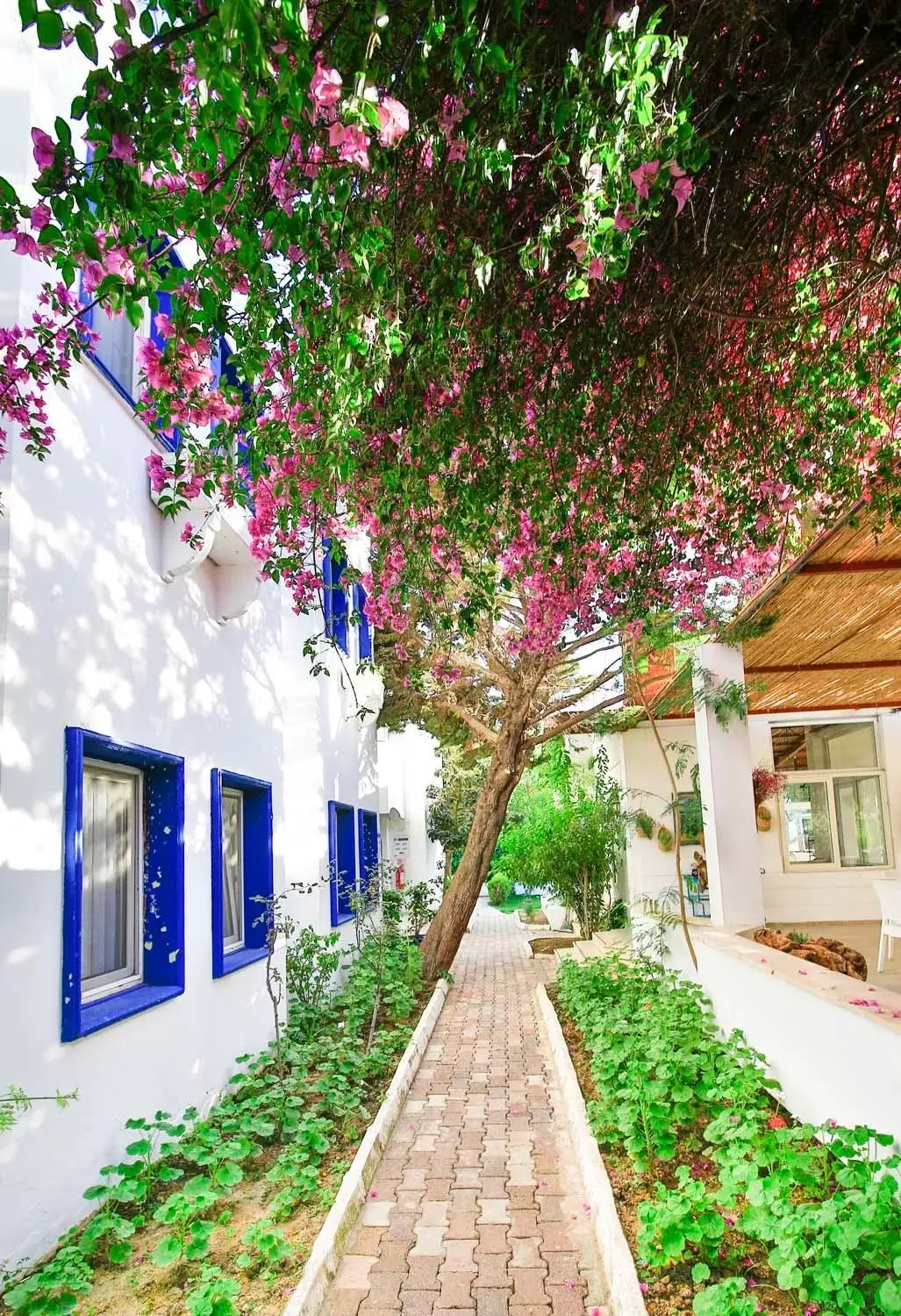 Garden, Property Building in Costa Bodrum City