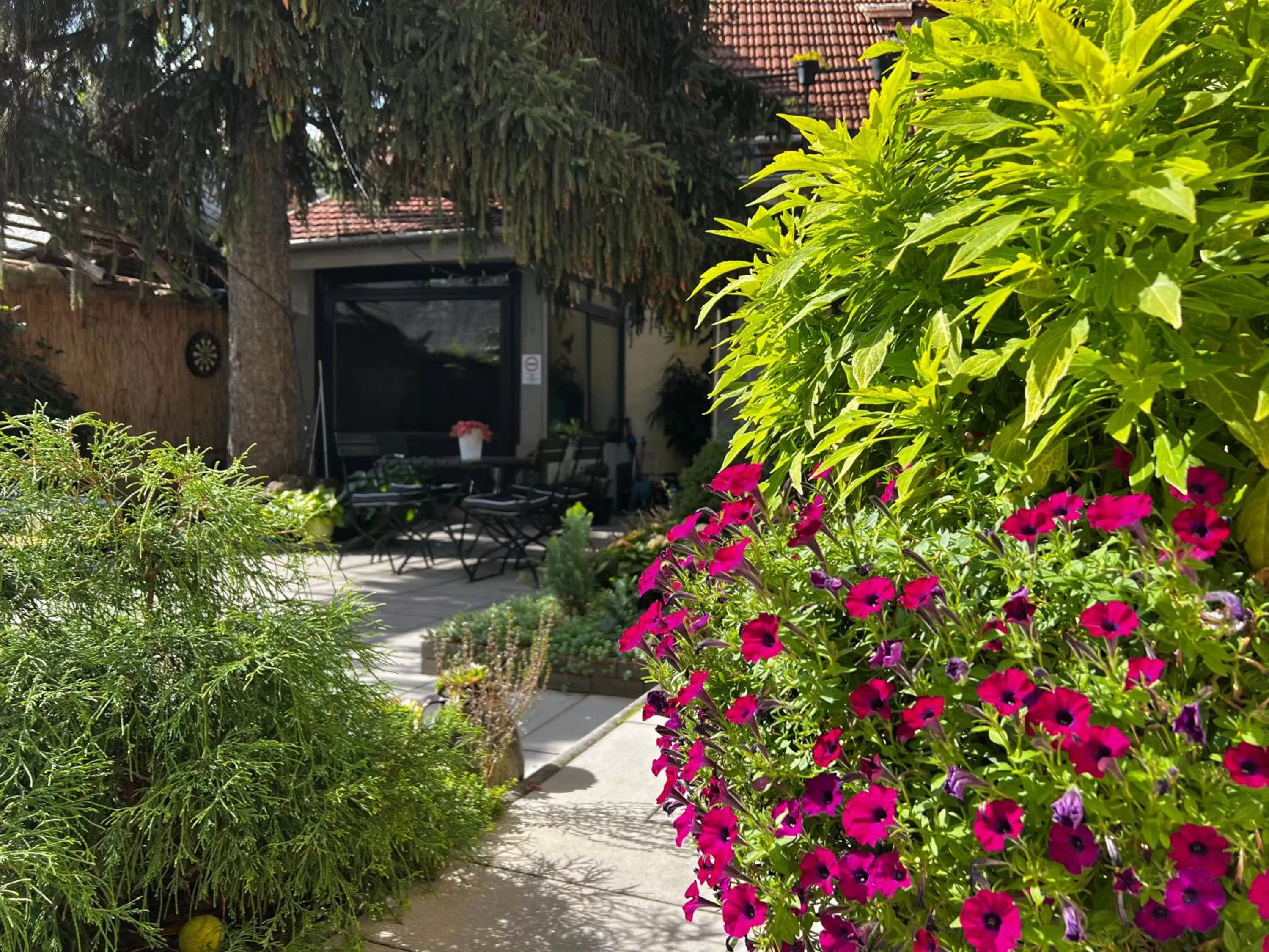 Garden in Margaréta Garden & SPA