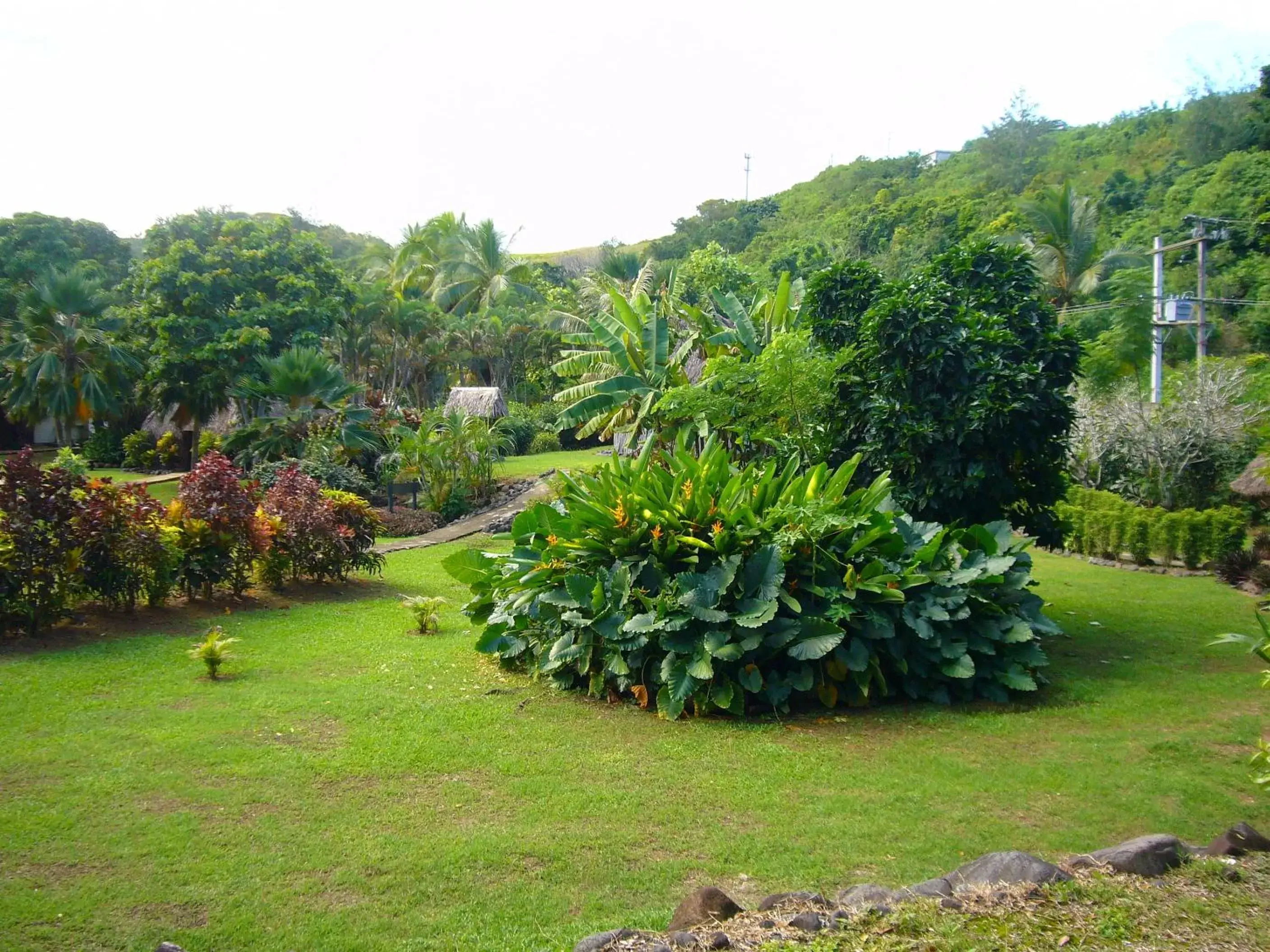 Garden in Gecko's Resort