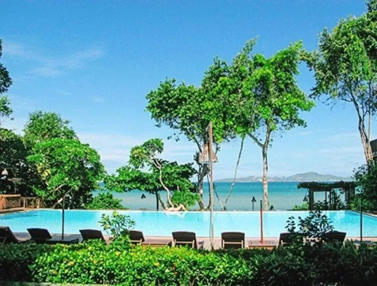 Pool view, Swimming Pool in Birds and Bees Resort