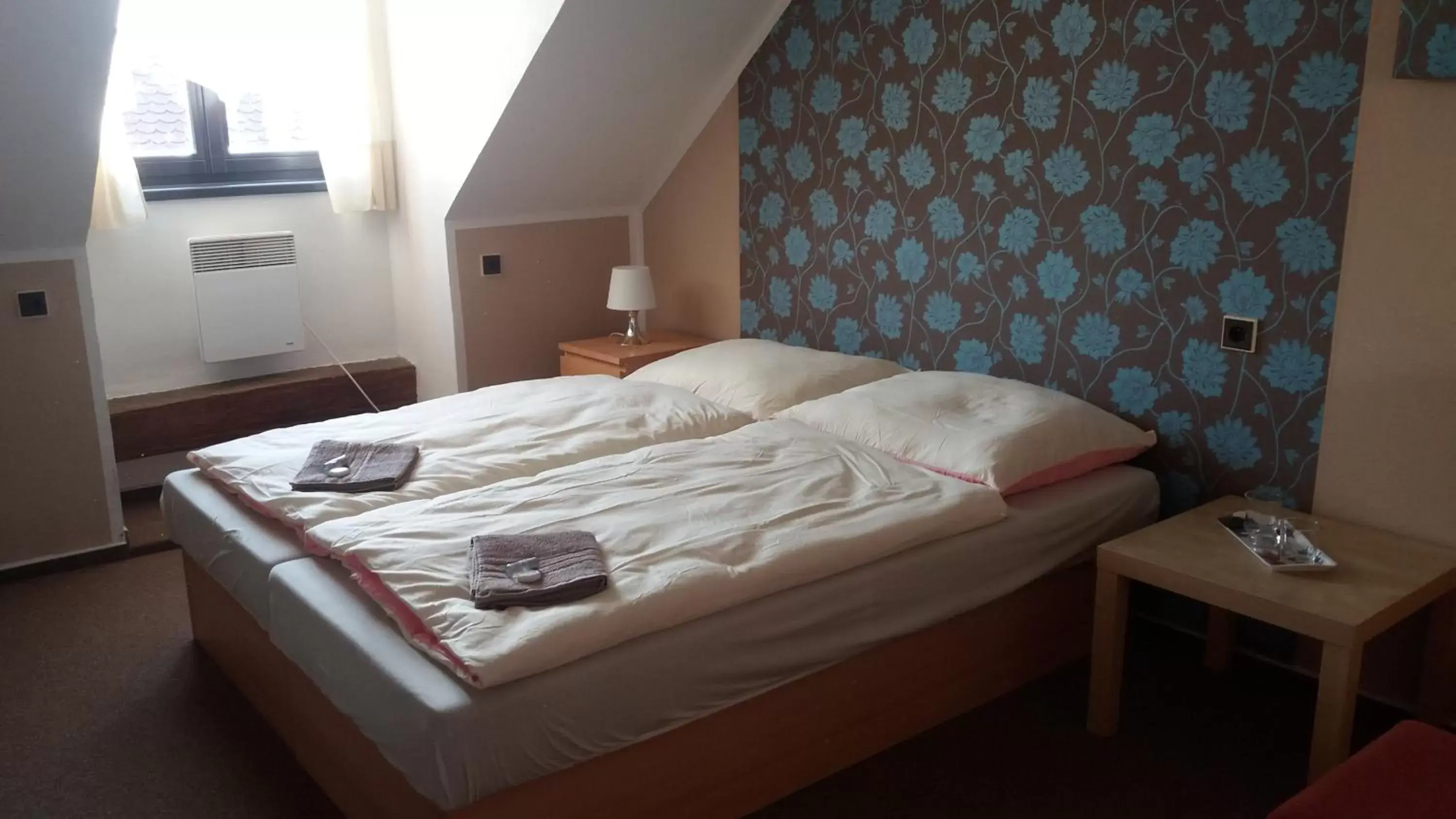 Double or Twin Room with Shower in Hotel Veveří Double or Twin Room with Shower in Hotel Veveří