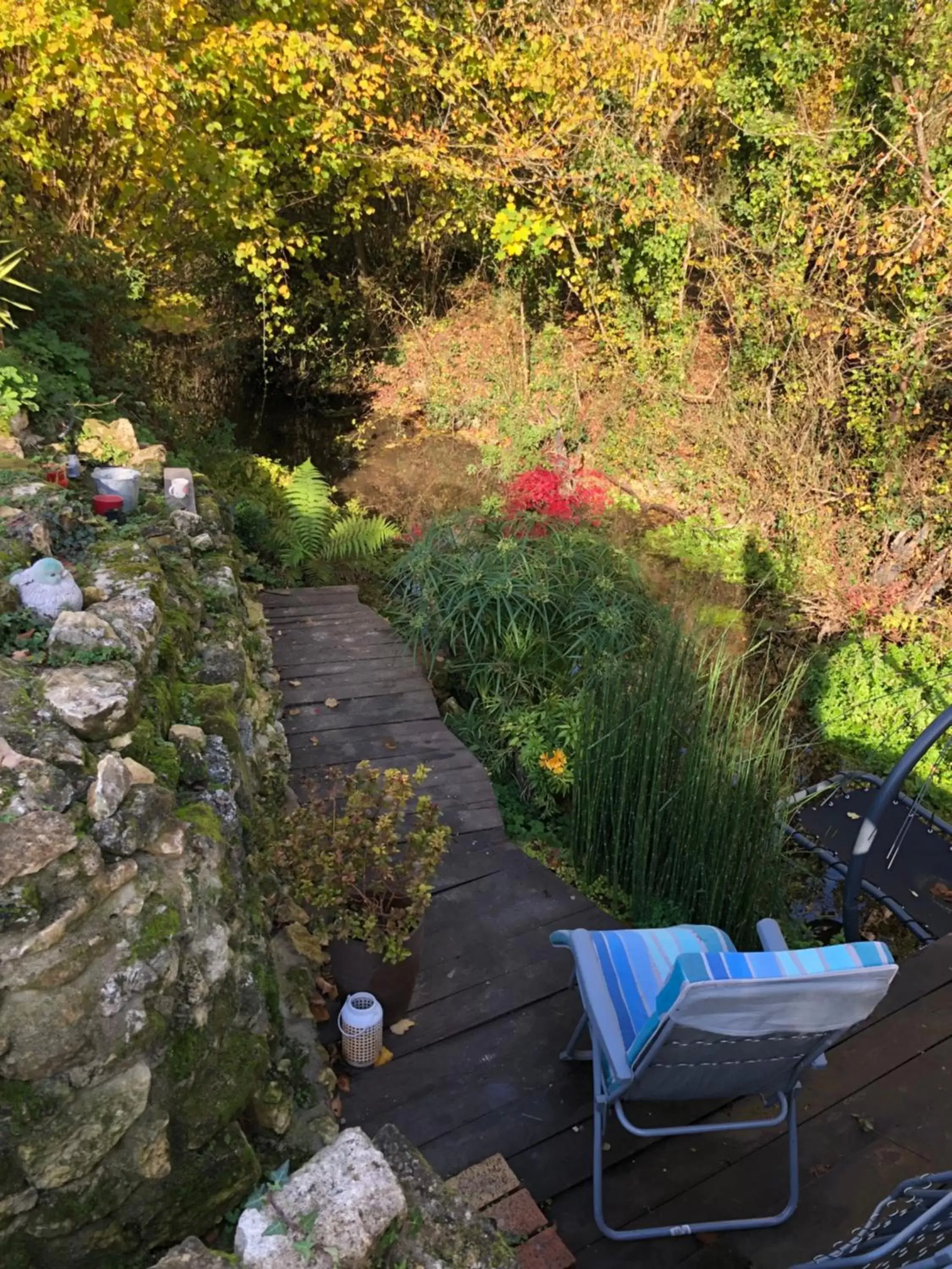 Garden view in Chambre d'hôtes