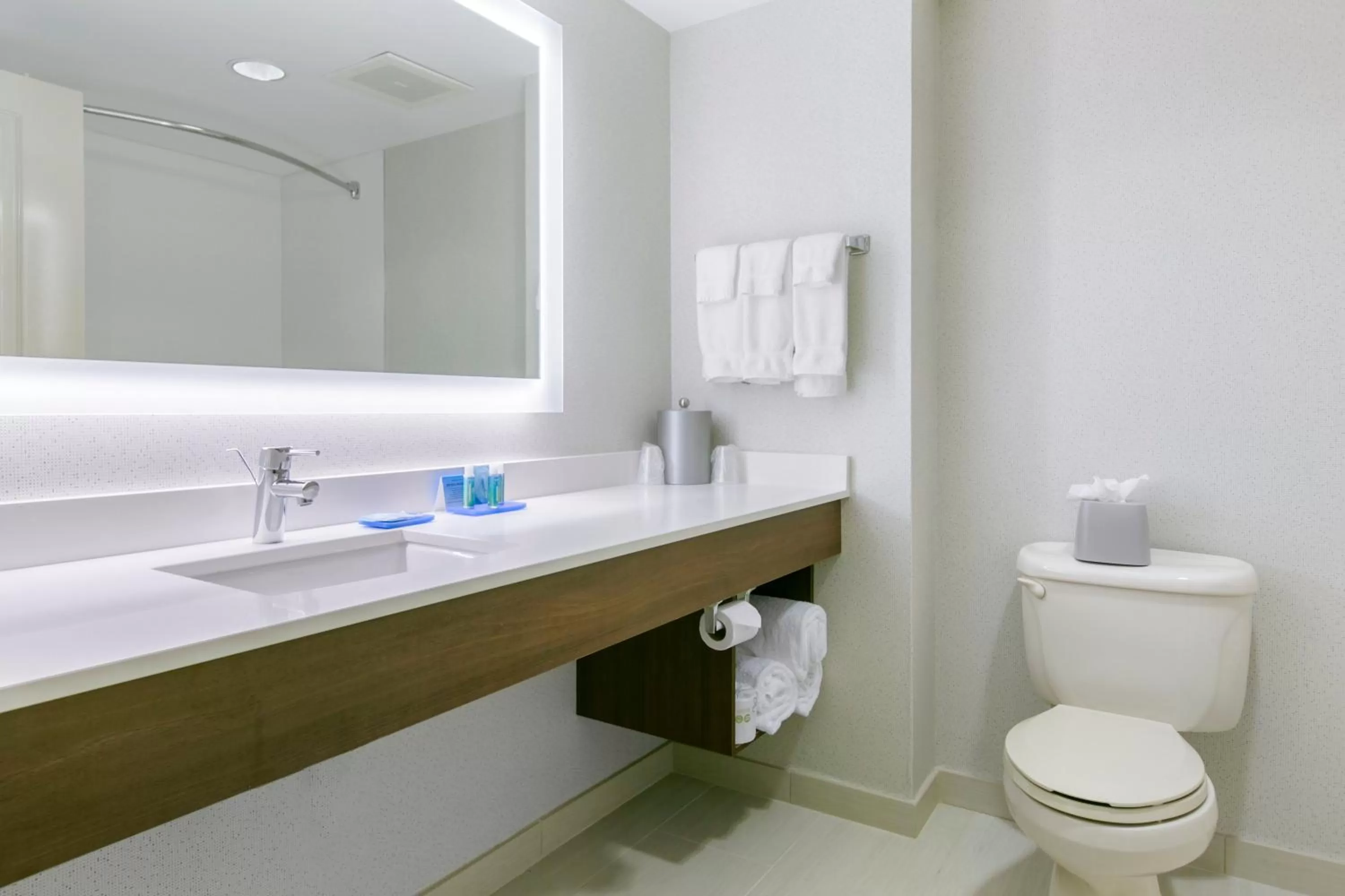 Bathroom in Holiday Inn Express Mount Arlington by IHG