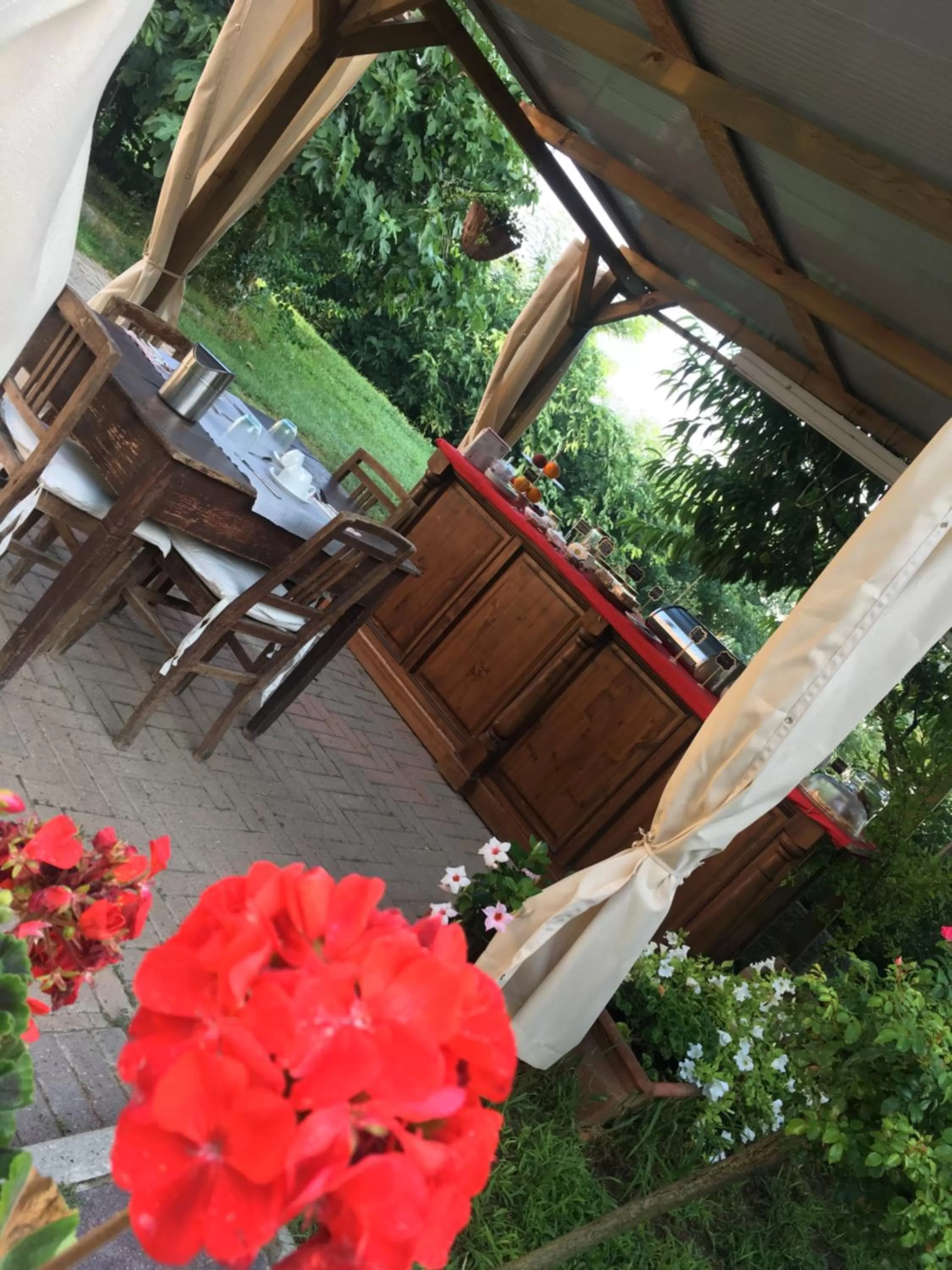 Rossella alla Villarella dei Tulipani