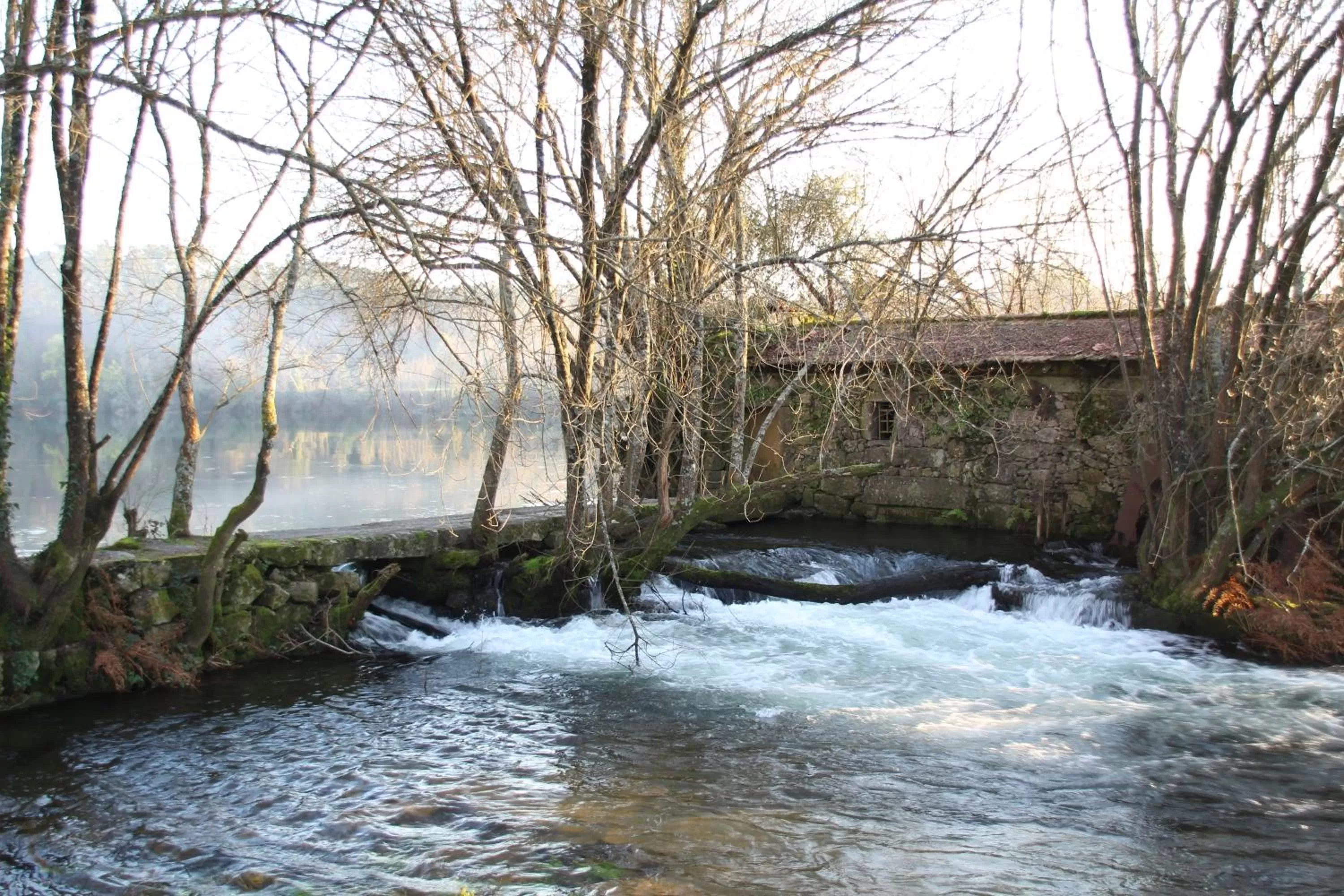 Natural landscape, Winter in B&B Villa Branca Barreiros AL98139
