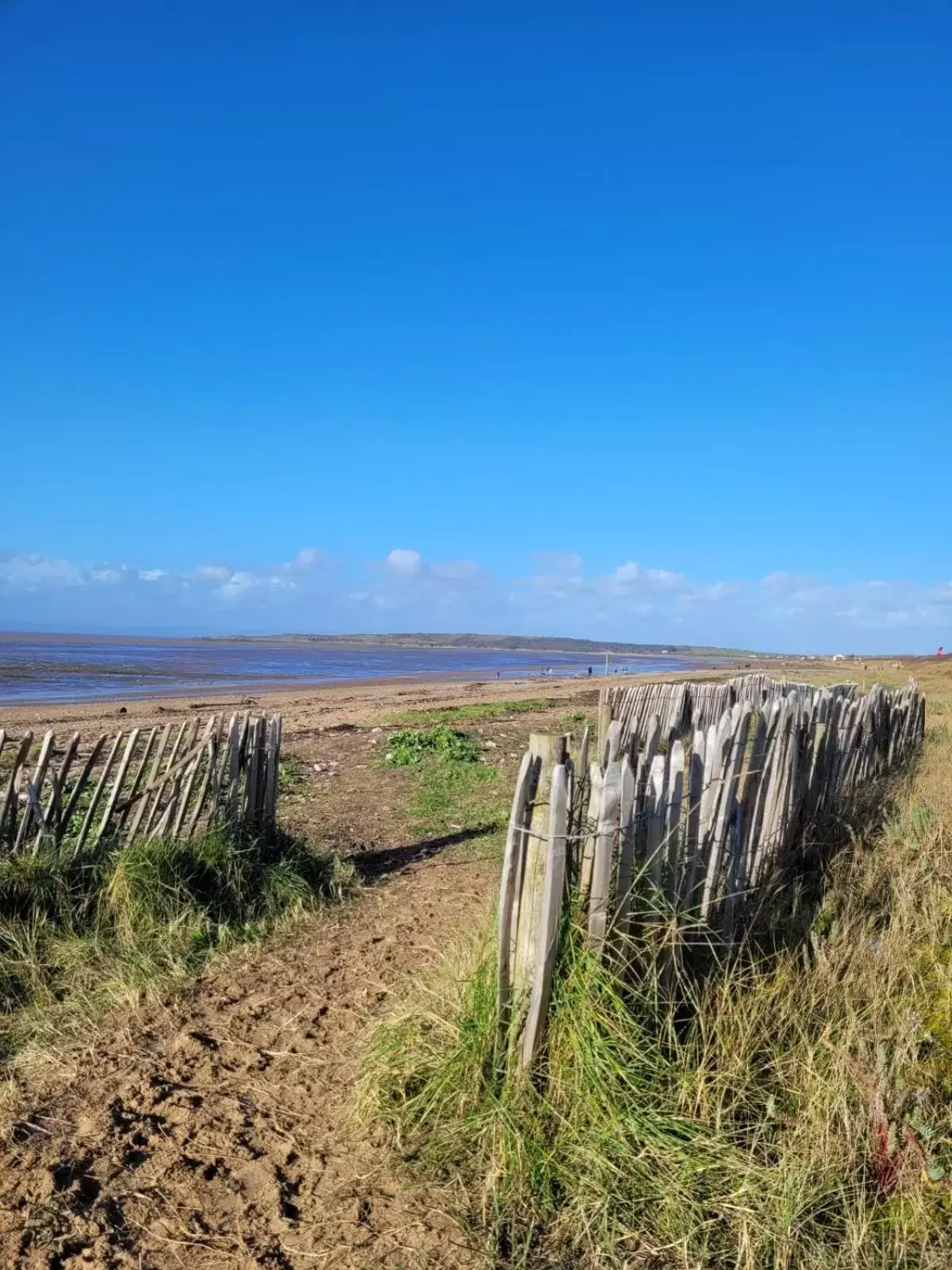 Beach, Natural Landscape in South Sands Hotel