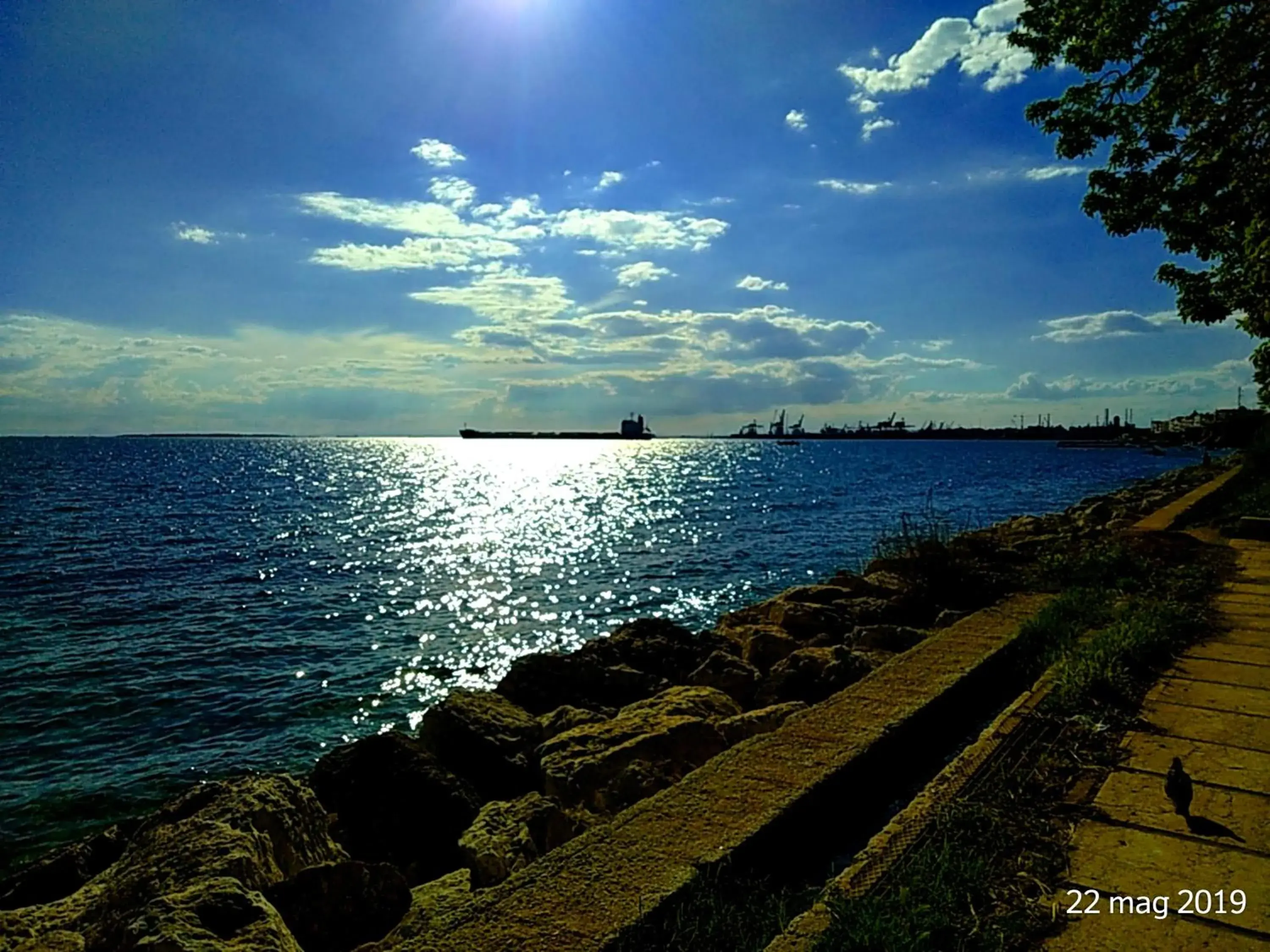 Natural landscape, Beach in Hotel Virgilio