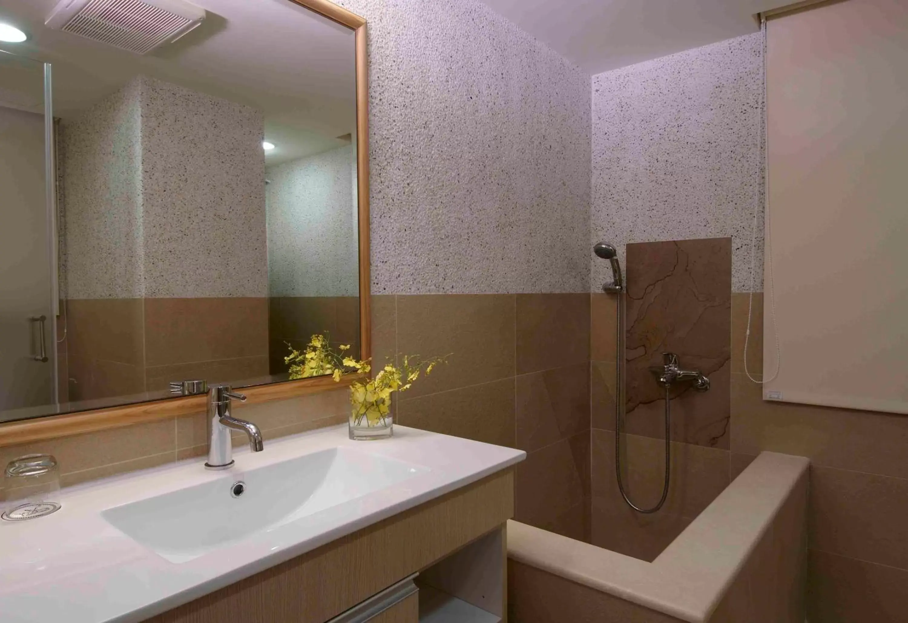 Shower, Bathroom in Hotel Color