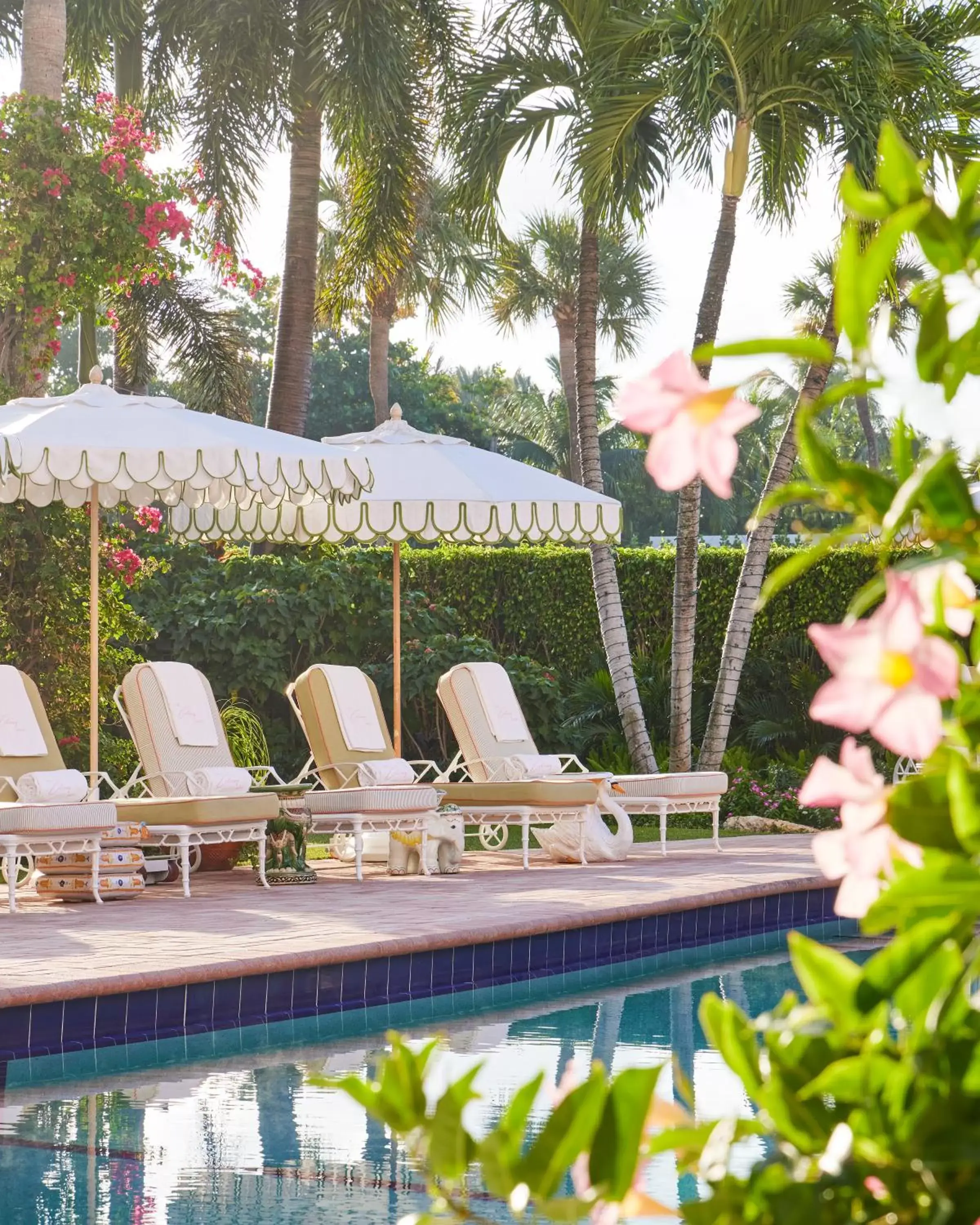 Swimming Pool in The Colony Hotel