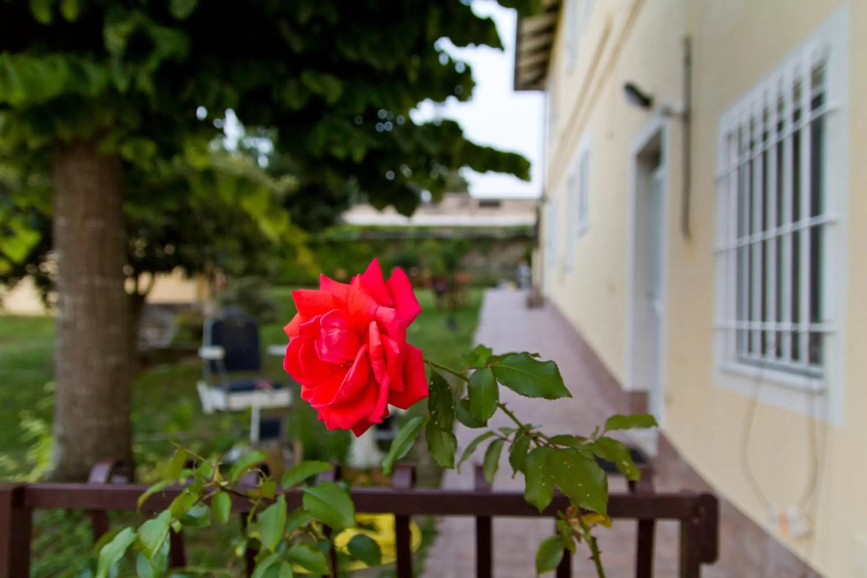 Natural landscape in B&B Azzurra