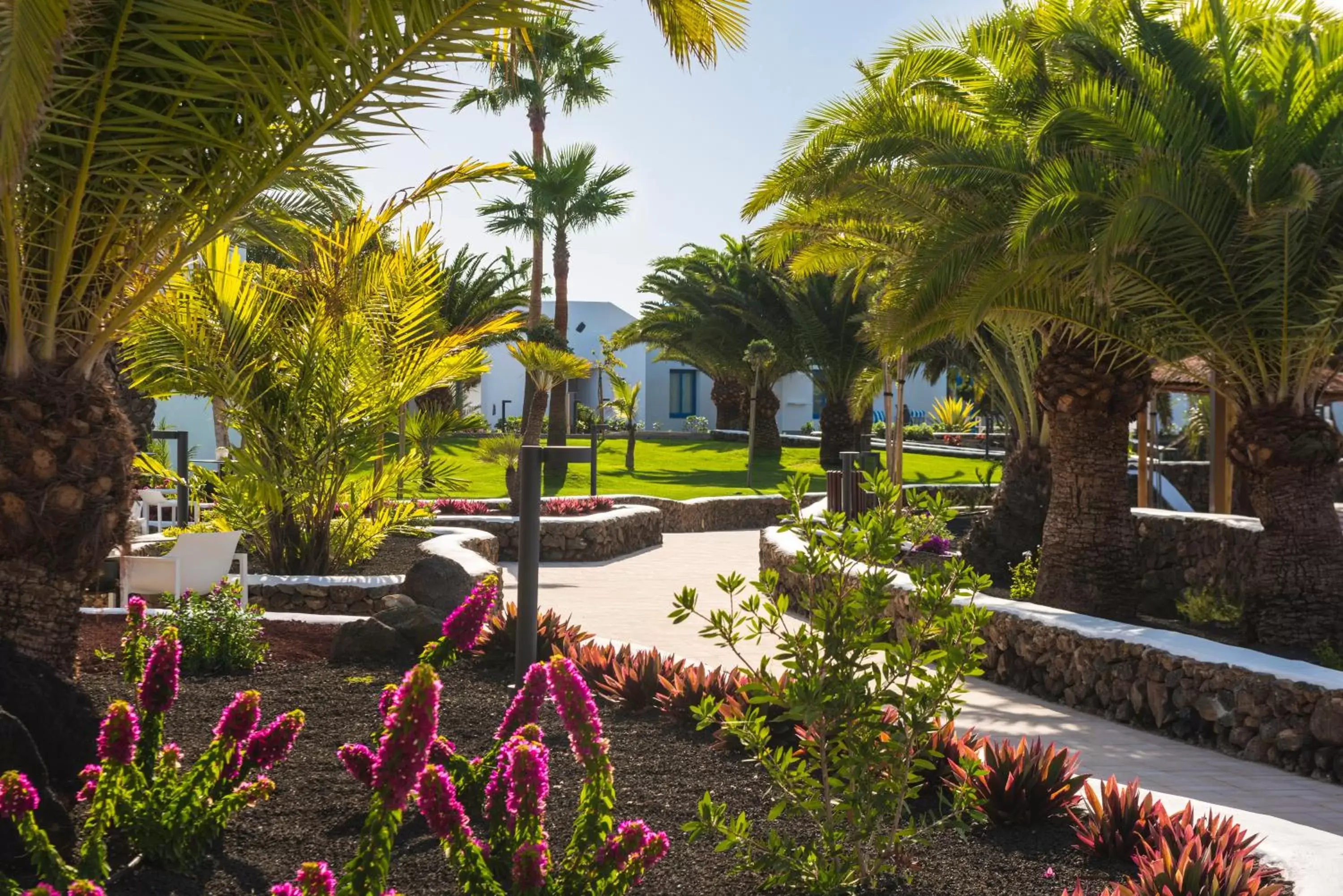 Garden in Elba Lanzarote Royal Village Resort